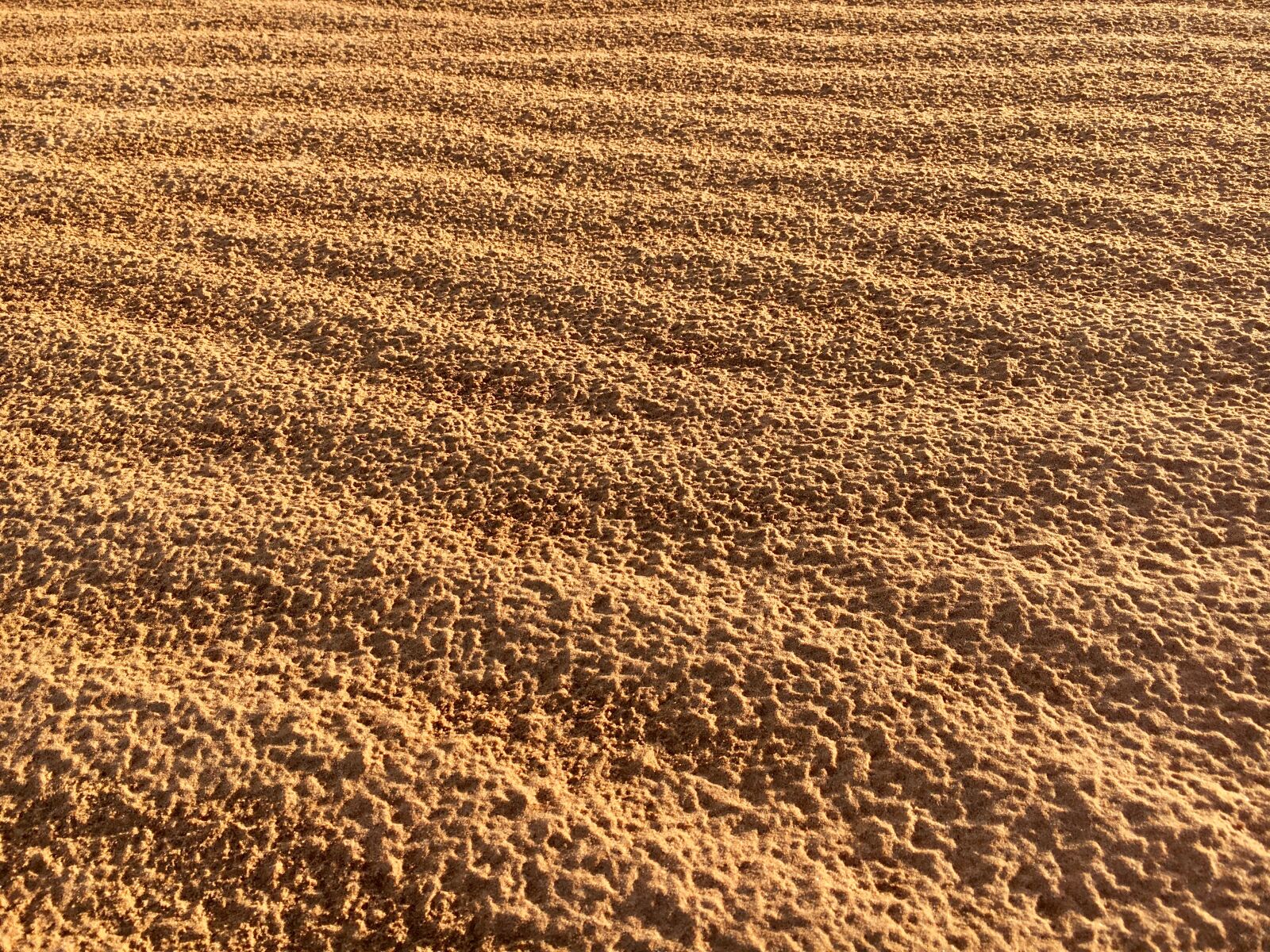 Apple iPhone 6s sample photo
