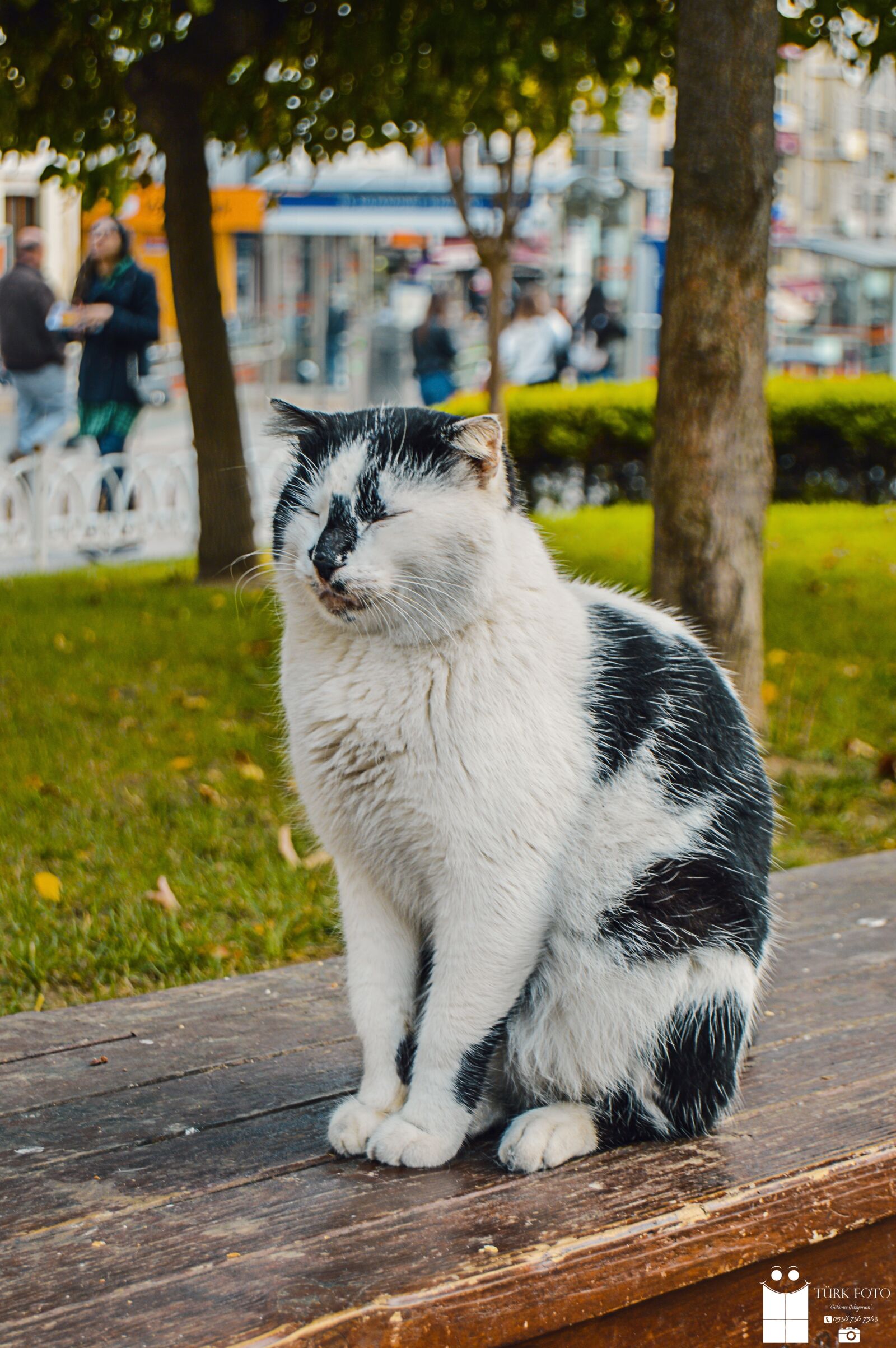 Nikon D3200 sample photo. Istanbul, gemi, kızkulesi photography