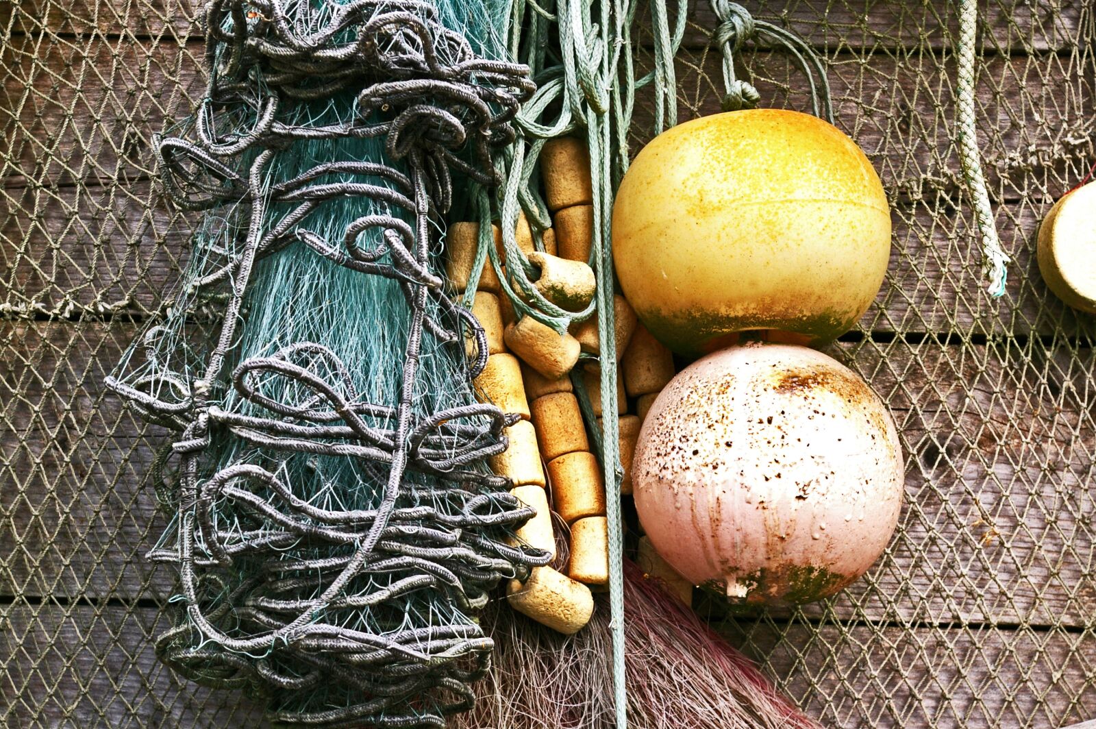Pentax *ist DL2 sample photo. Fishing net, fishing, web photography