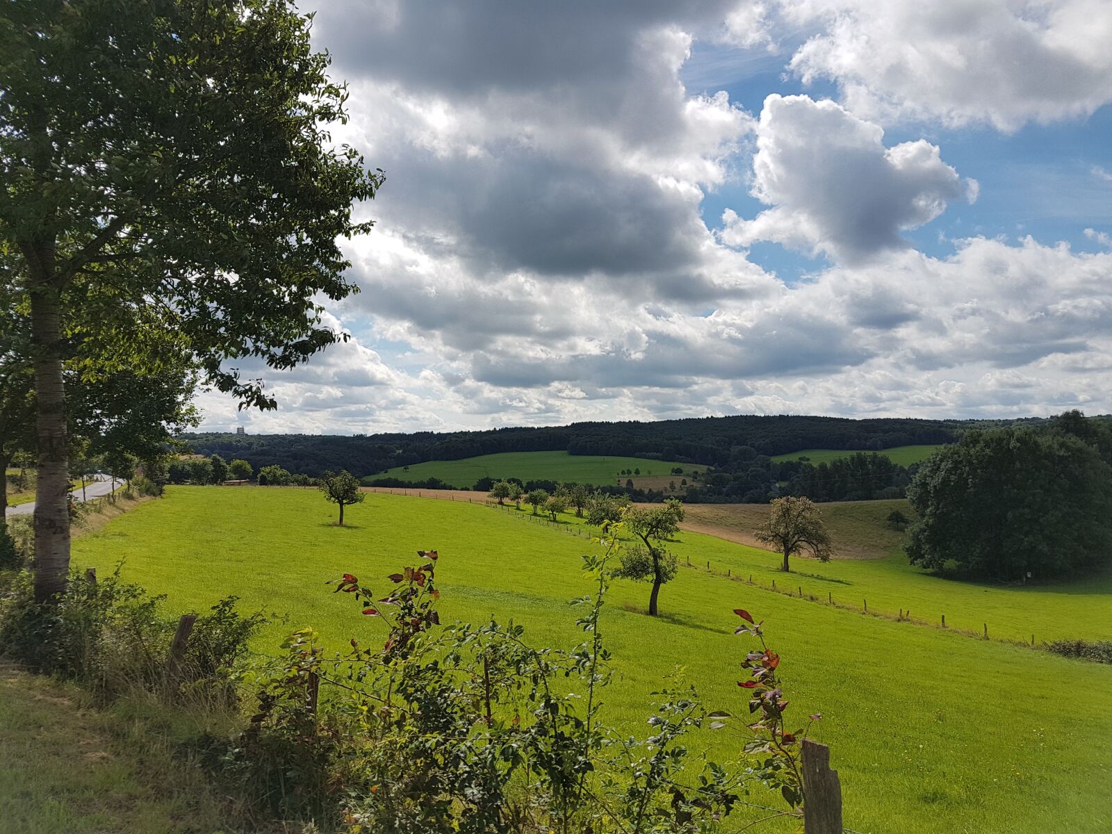 Samsung Galaxy S7 sample photo. Bergisches land, nature, landscape photography