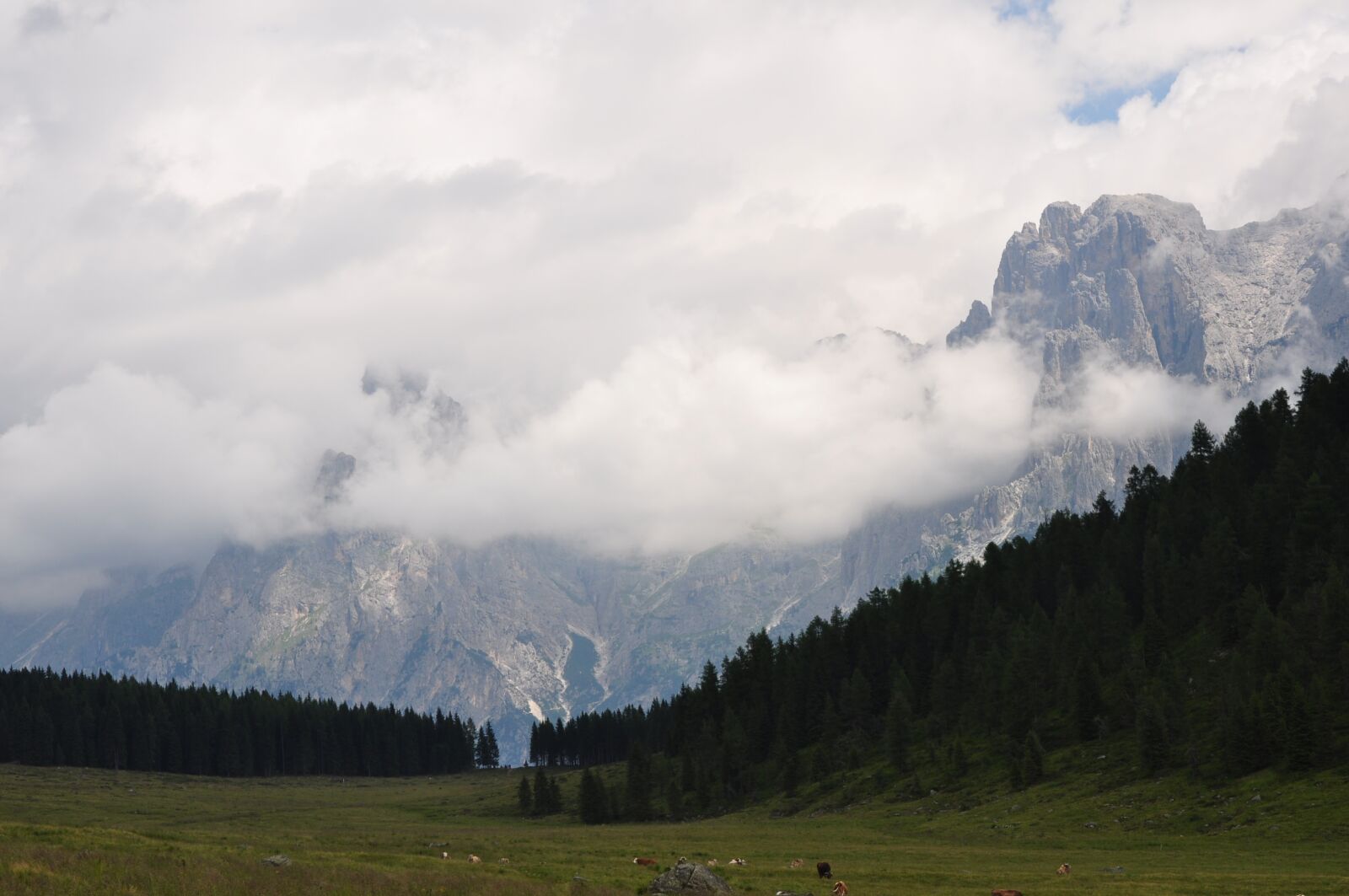 Nikon D5000 sample photo. Dolomites, alm, landscape photography