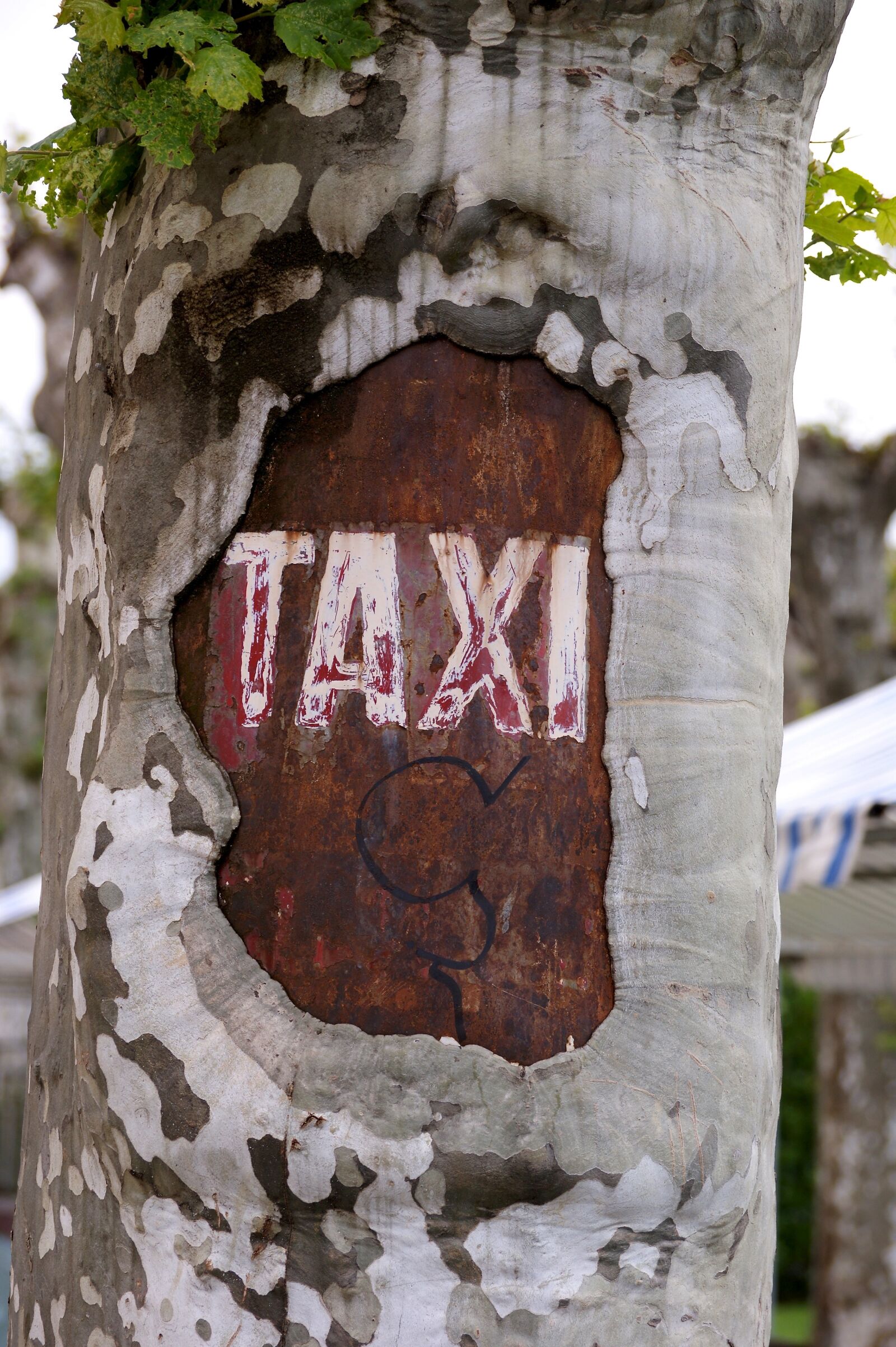 Sony Alpha DSLR-A350 sample photo. Taxi, tree, city photography