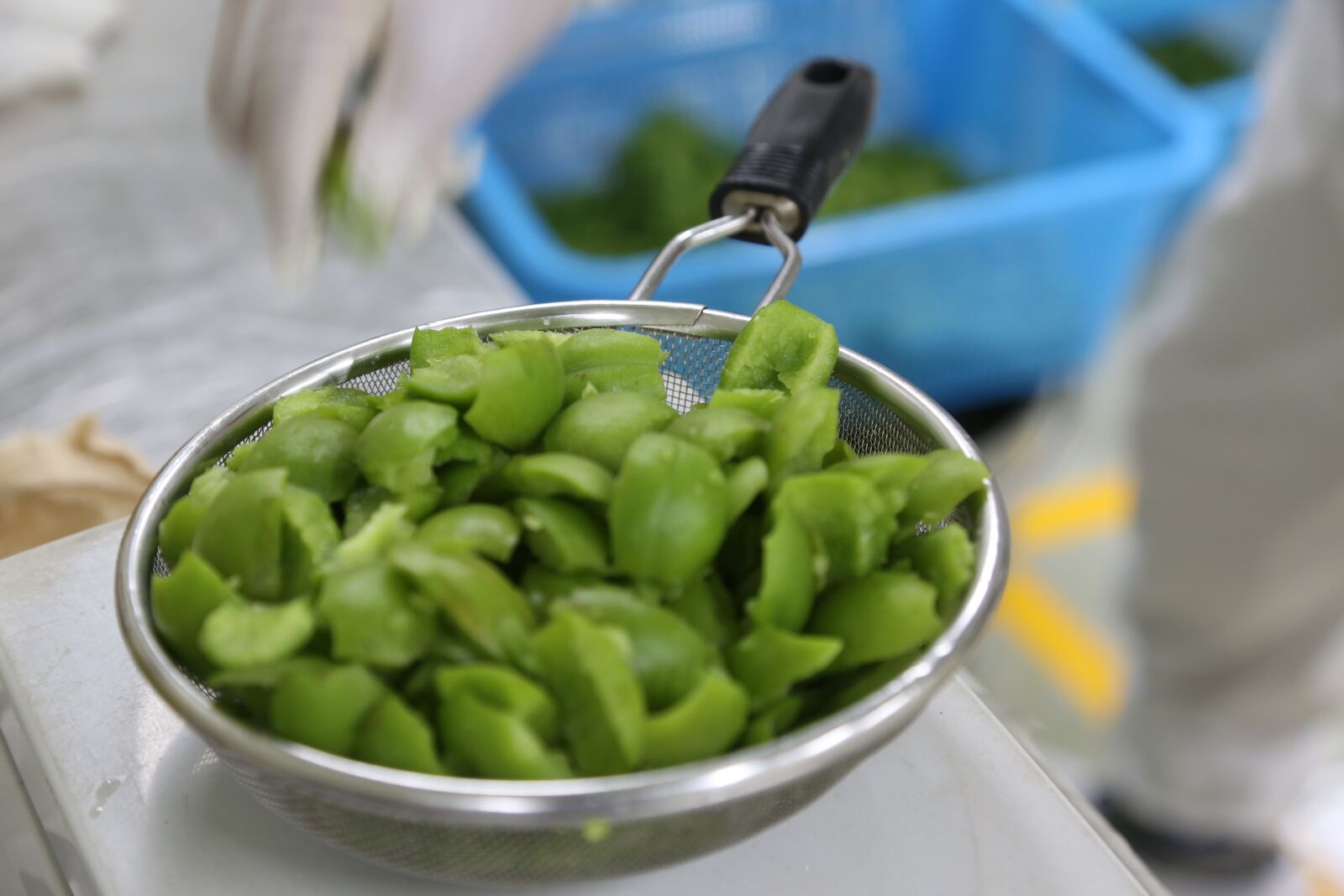 Canon EF 24-105mm F4L IS USM sample photo. Plum, processing, agricultural products photography