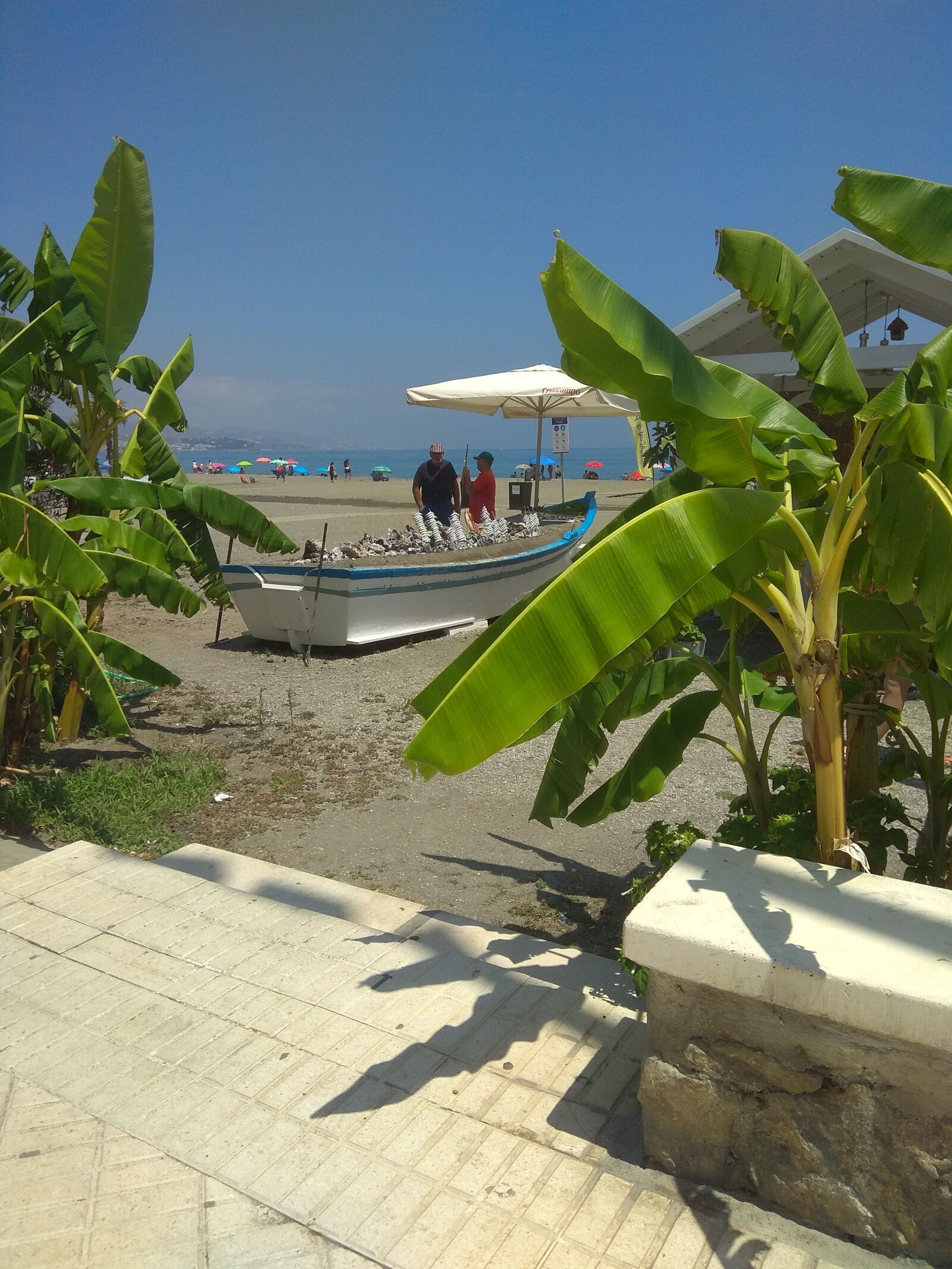 Xiaomi Redmi Note 4 sample photo. Beach, fish, the photography
