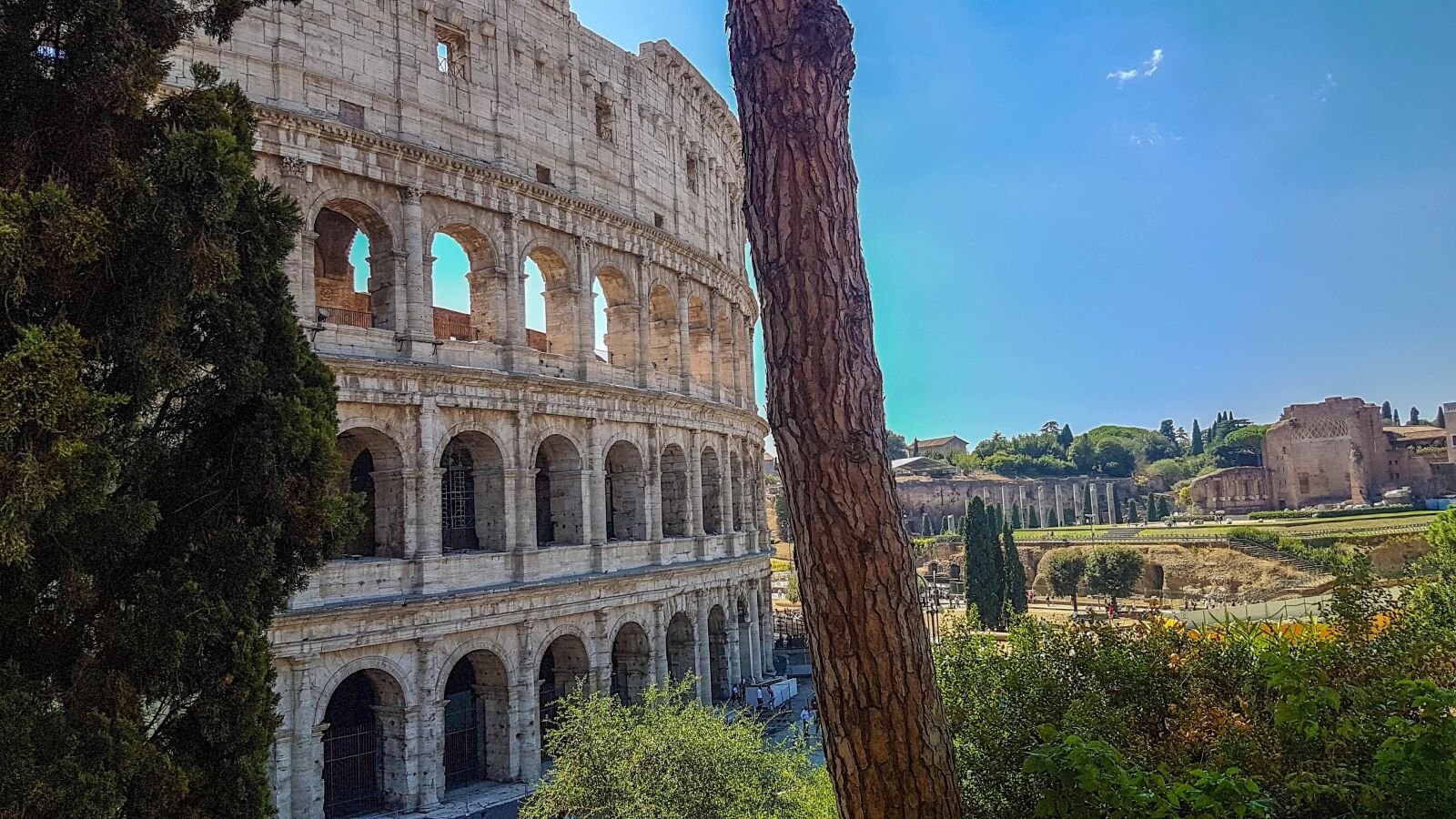 Samsung Galaxy S7 Rear Camera sample photo. Rome, coliseum, italy photography