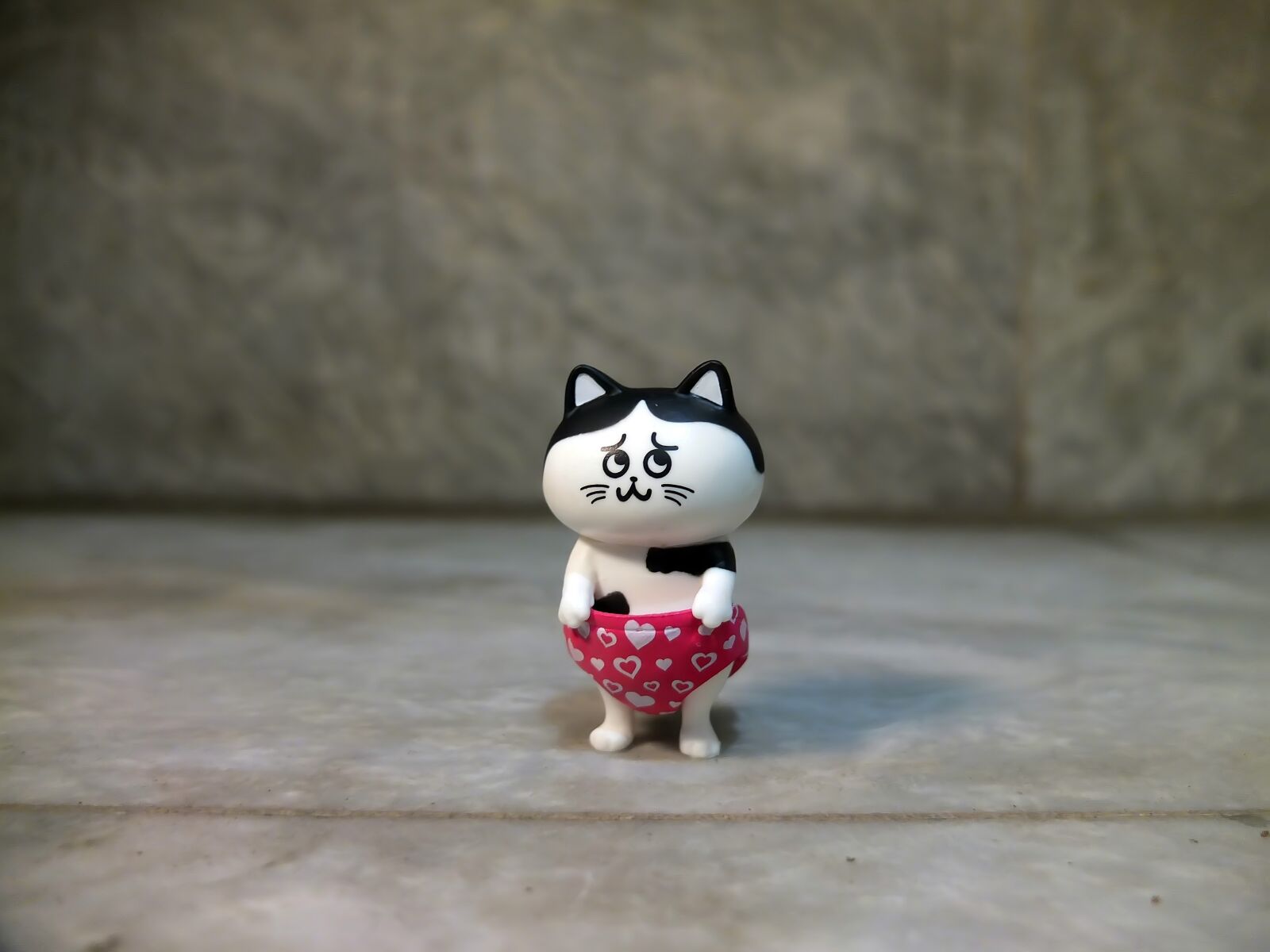 Fujifilm X10 sample photo. Cat, silvester, pet photography