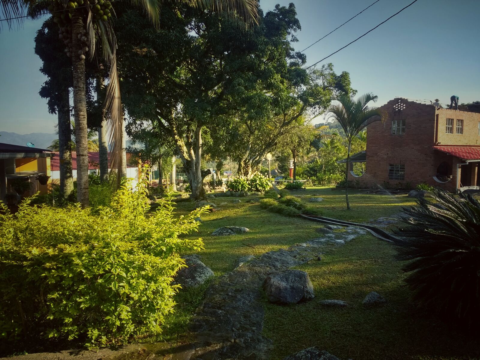 Motorola Moto G (4) sample photo. Nature photography