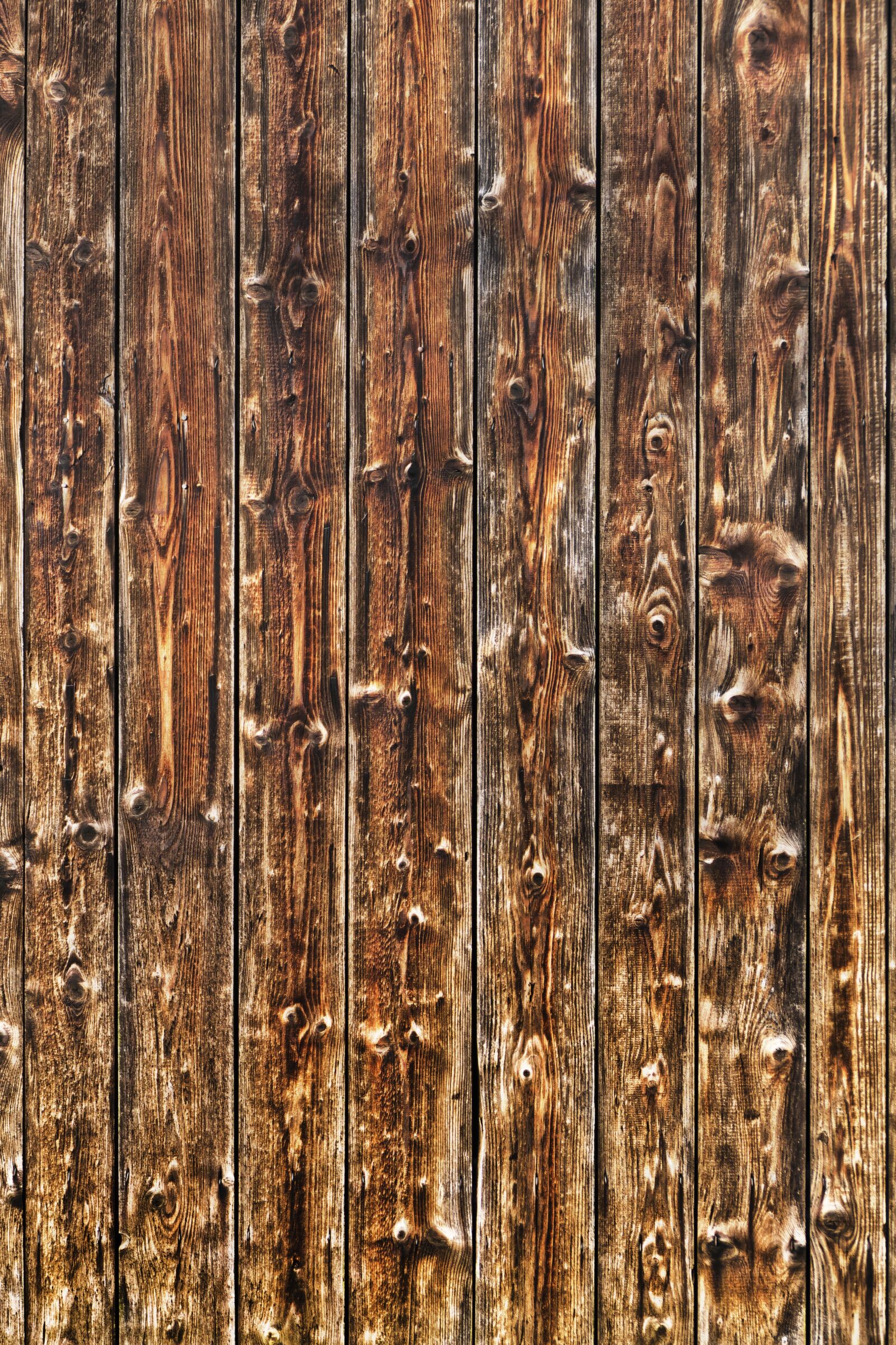 Panasonic Lumix DMC-FZ1000 sample photo. Wood, boards, branches photography