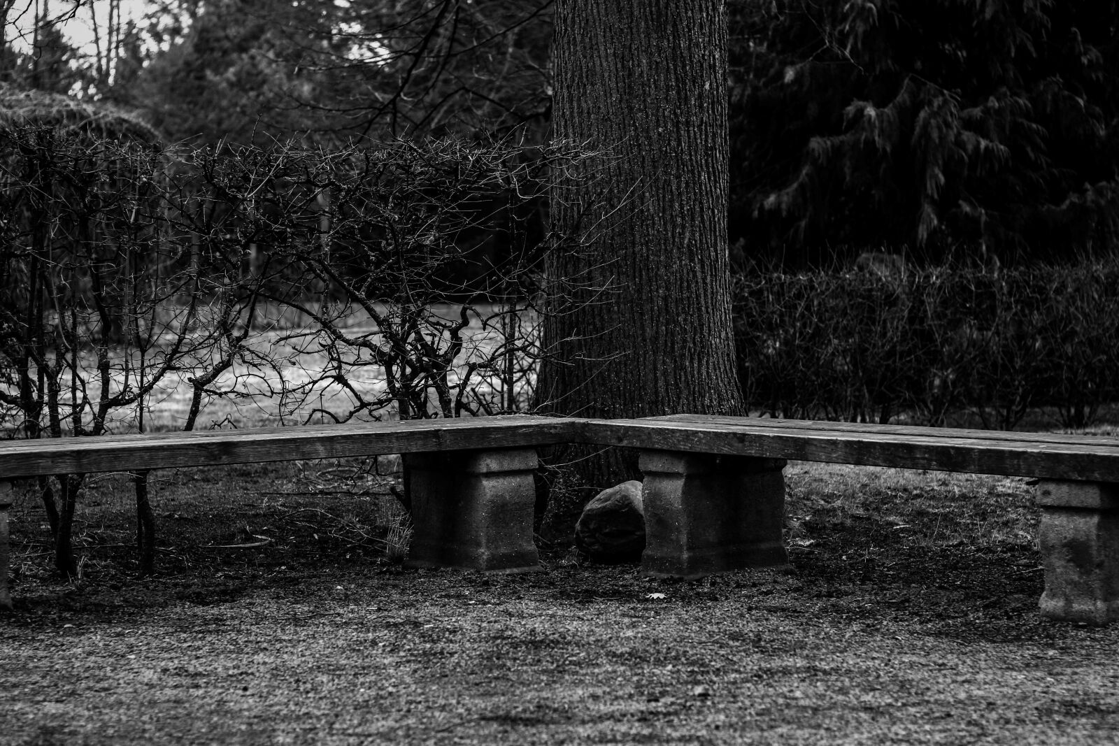 Canon EF 50mm F1.8 STM sample photo. Bank, wooden bench, bench photography