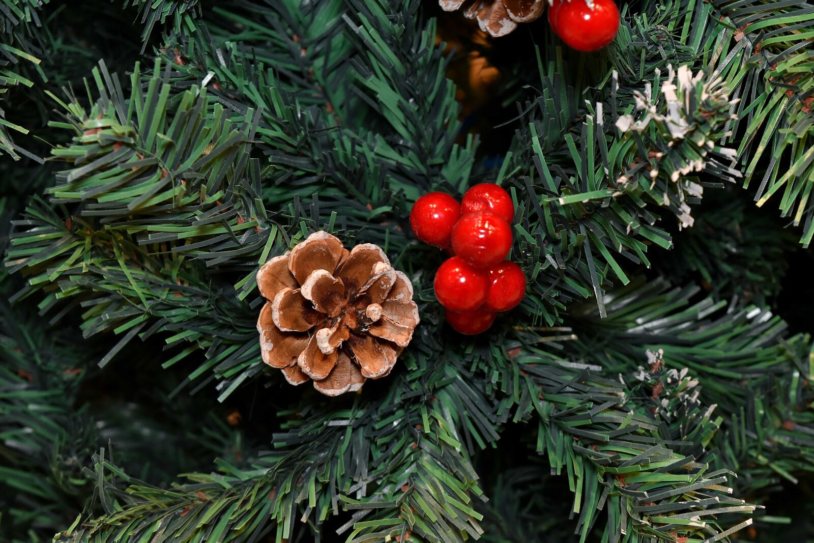 Nikon D5500 sample photo. Berries, christmas, christmas tree photography