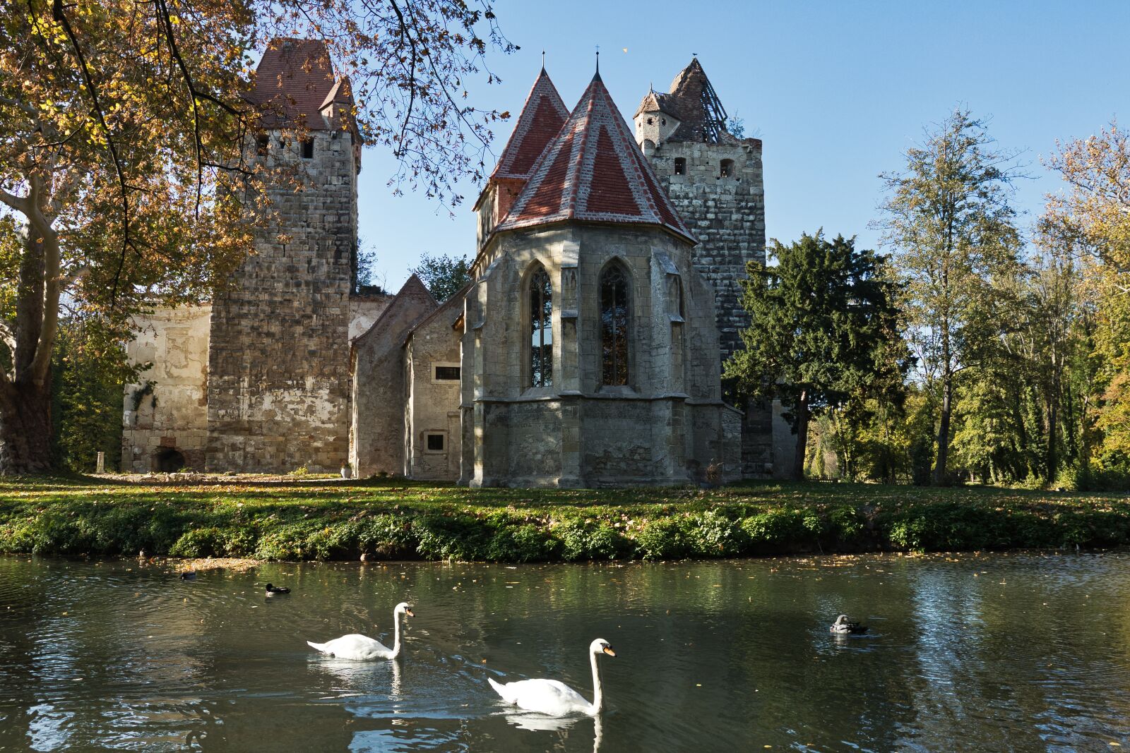 Canon 18-35mm F1.8 DC HSM | Art 013 sample photo. Pottendorf, castle park, swans photography