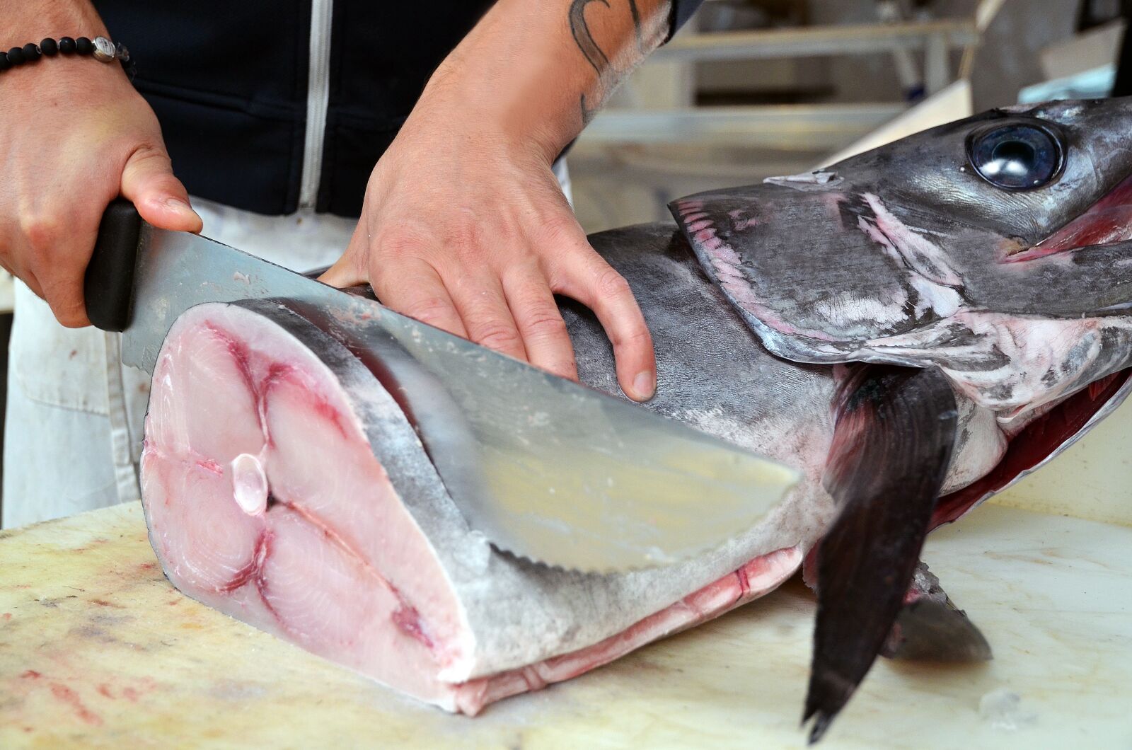 Nikon D7000 sample photo. Fish, sword, marino photography