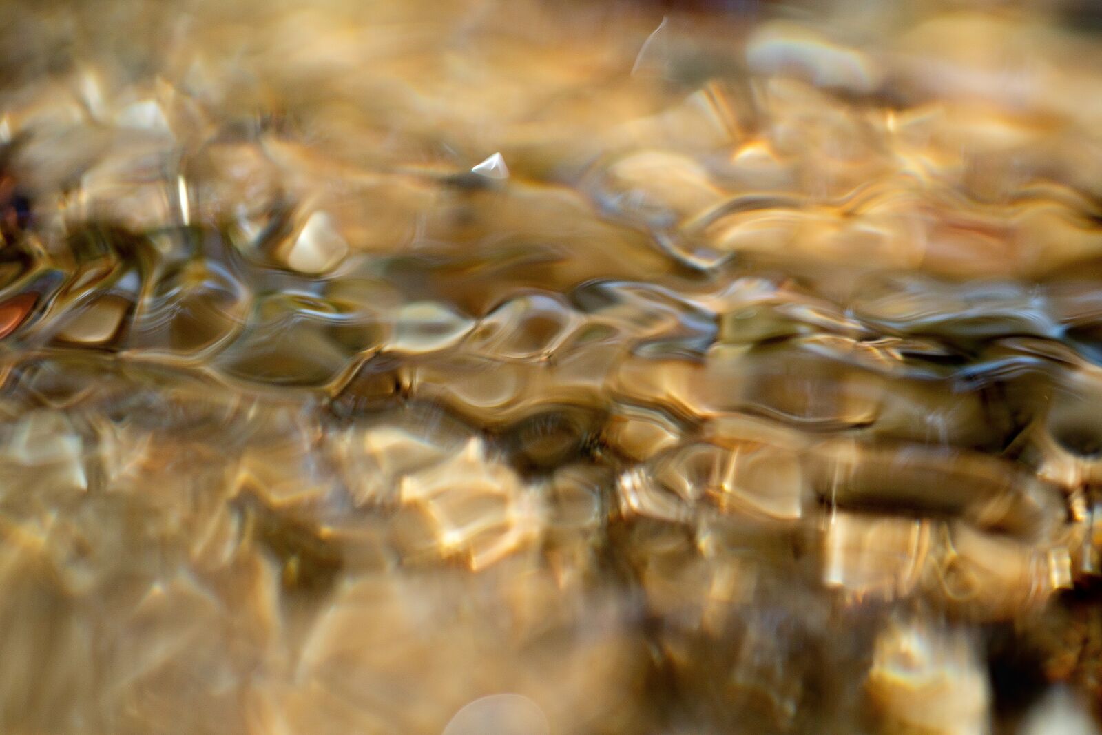 Canon EF 100mm F2.8L Macro IS USM sample photo. Water, bubbles, bobbles photography
