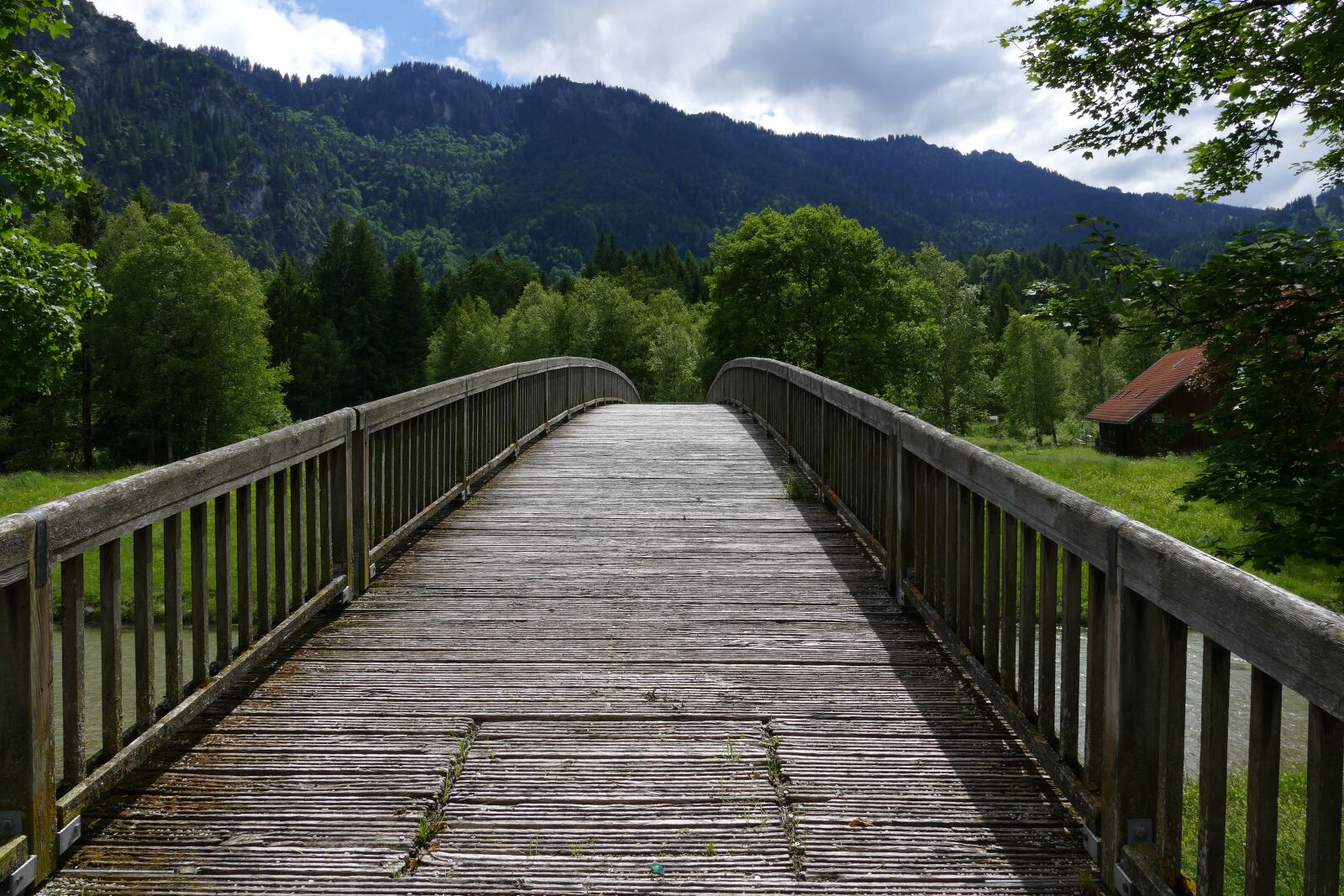 Leica V-Lux (Typ 114) sample photo. Bridge, web, boardwalk photography