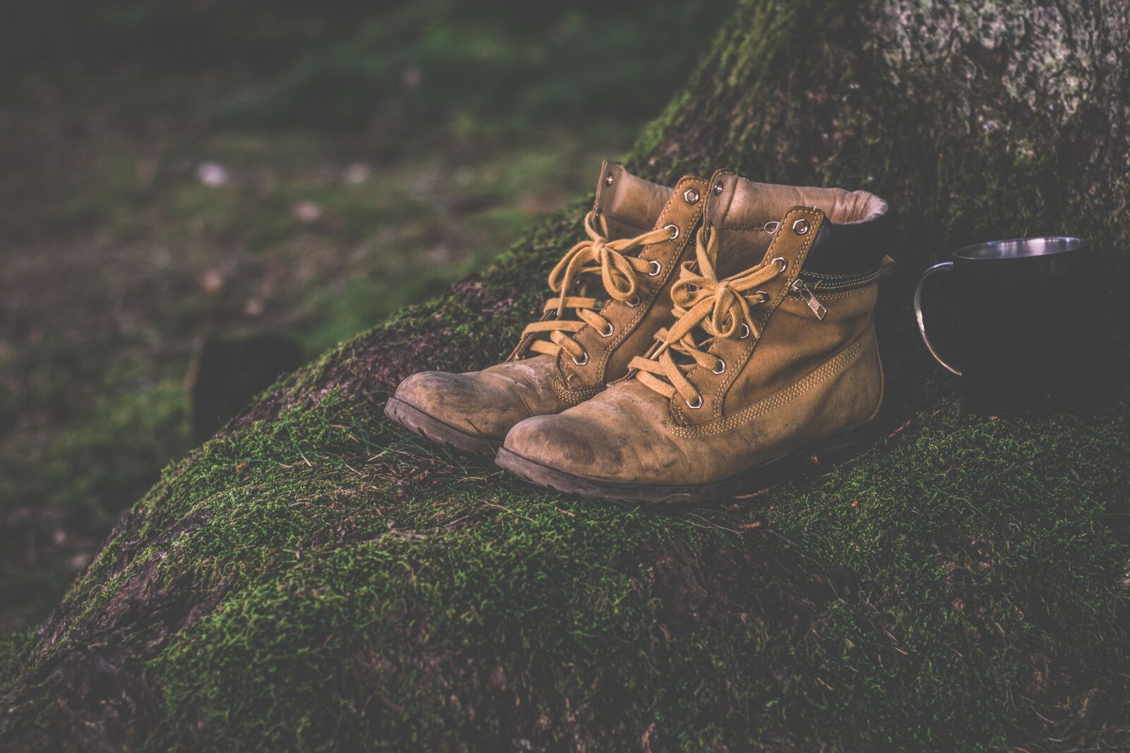 Nikon D5300 sample photo. Boots, cup, daylight photography