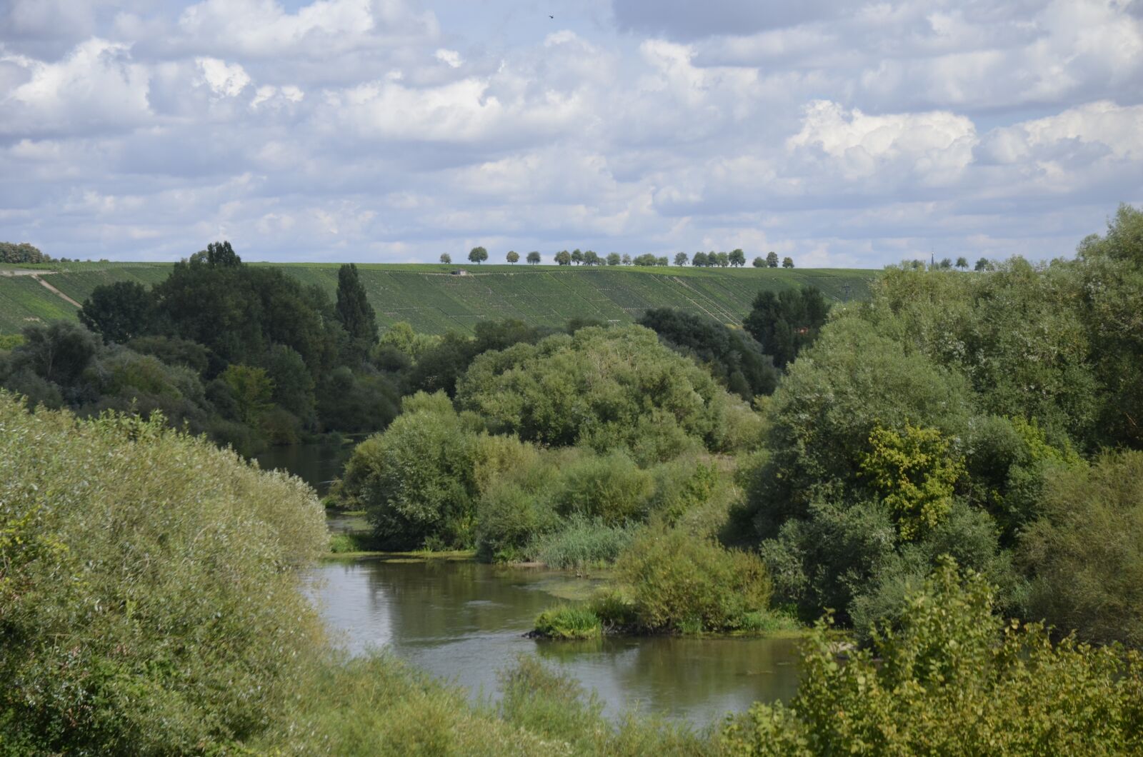 Nikon D5100 sample photo. Main, river, trees photography
