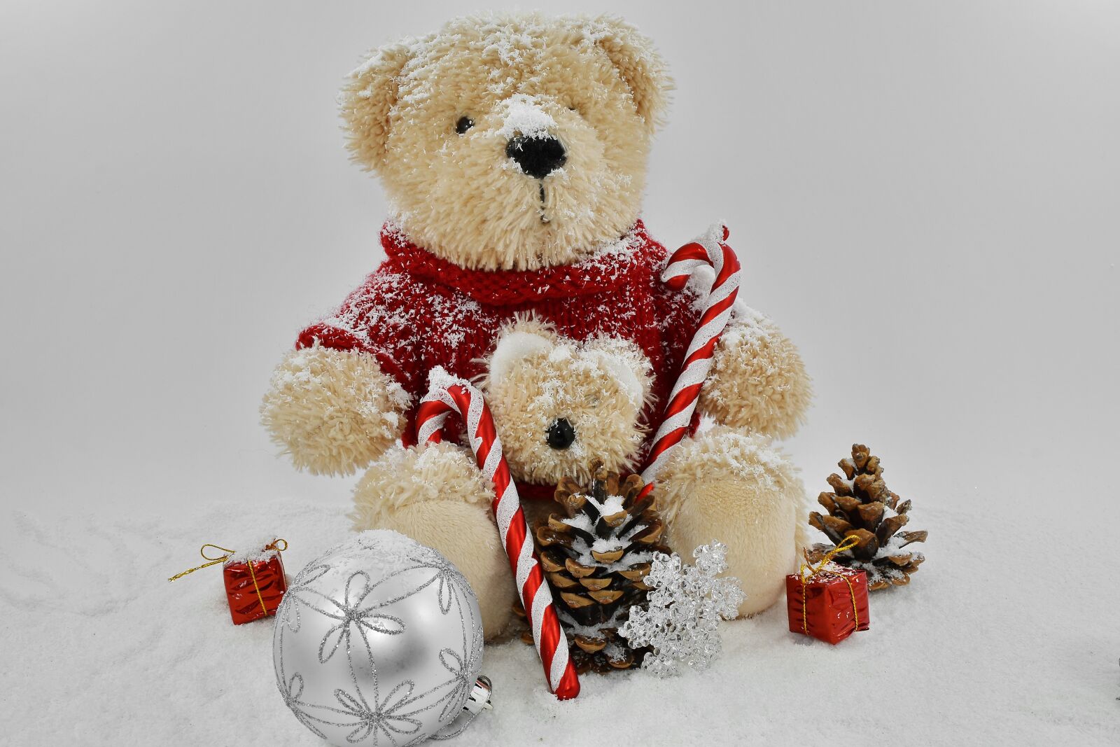 Nikon D5500 sample photo. Christmas, gifts, ornament, teddy photography