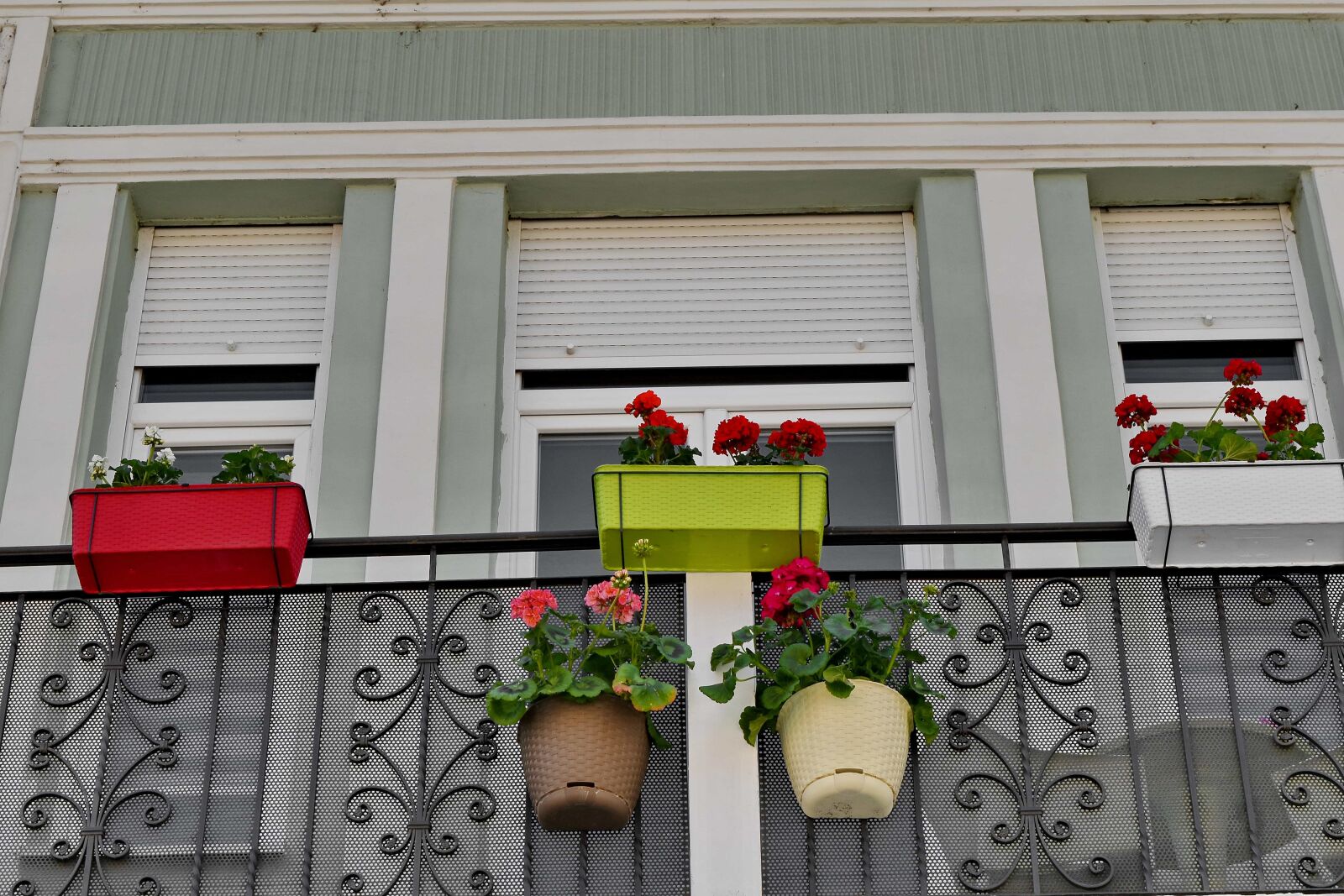 Nikon D5500 sample photo. Balcony, decoration, flowerpot, window photography