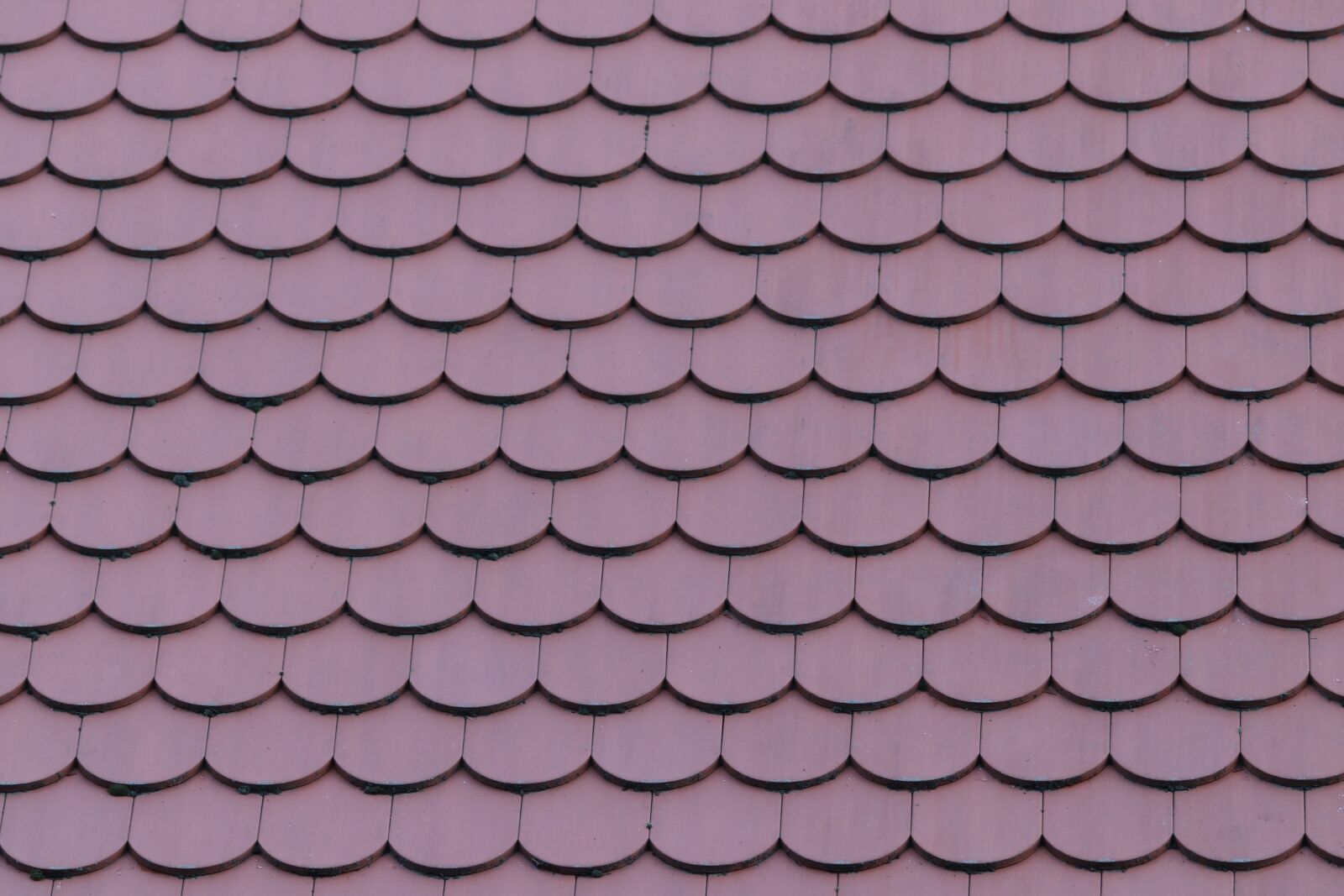 Canon EOS 200D (EOS Rebel SL2 / EOS Kiss X9) sample photo. House roof, tile, red photography