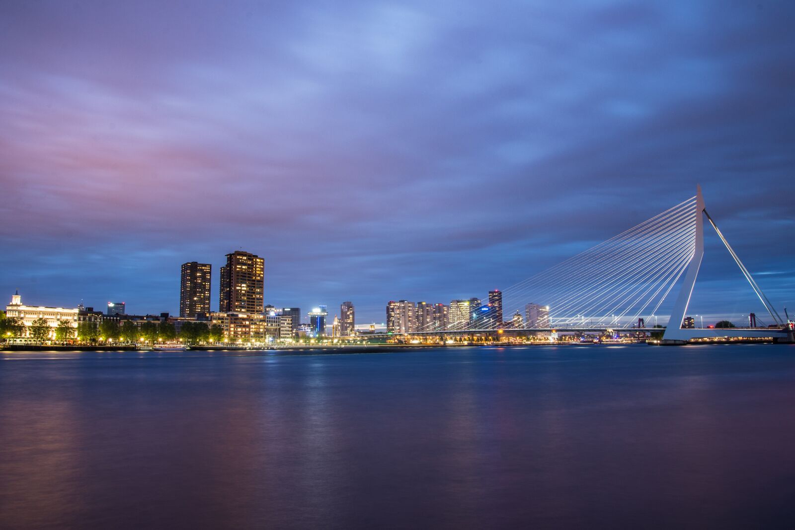 Nikon D600 sample photo. Rotterdam, skyline, bridge photography