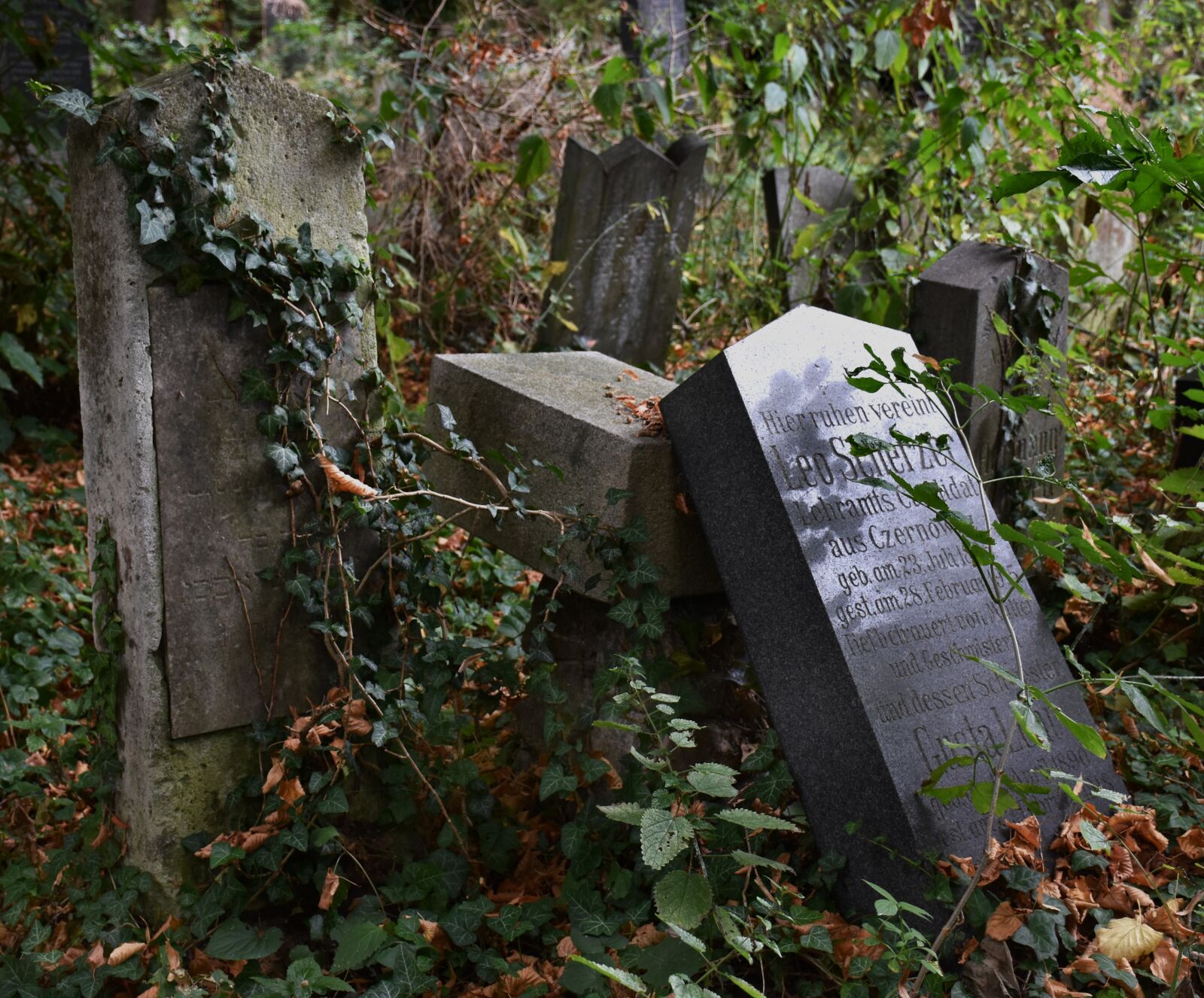 Nikon D7200 sample photo. Cemetery, tombstone, death photography