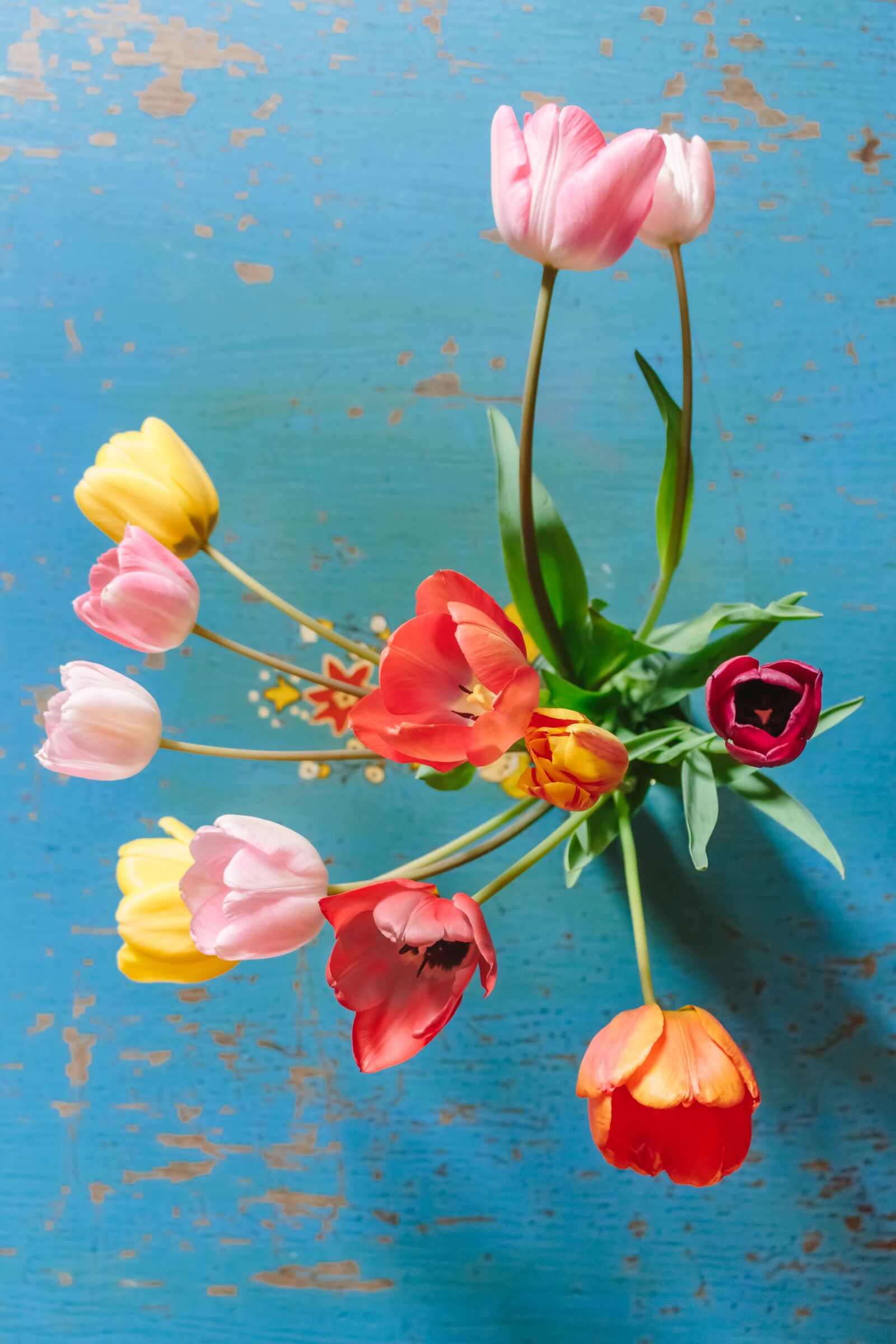 Canon EOS 700D (EOS Rebel T5i / EOS Kiss X7i) sample photo. Tulips, colorful, flowers photography
