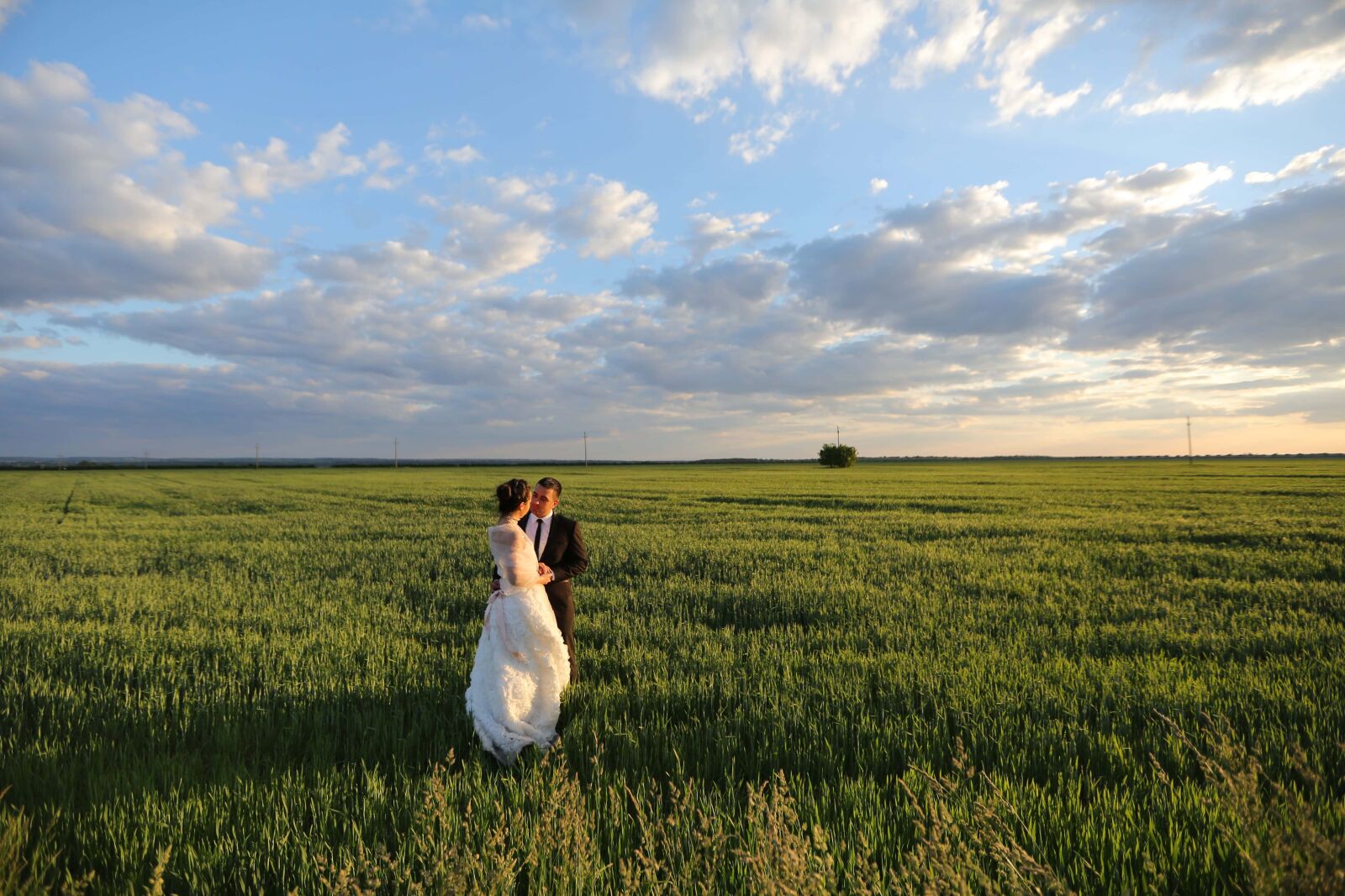 Canon EF 16-35mm F2.8L II USM sample photo. Marriage, wheatfield, husband, wife photography