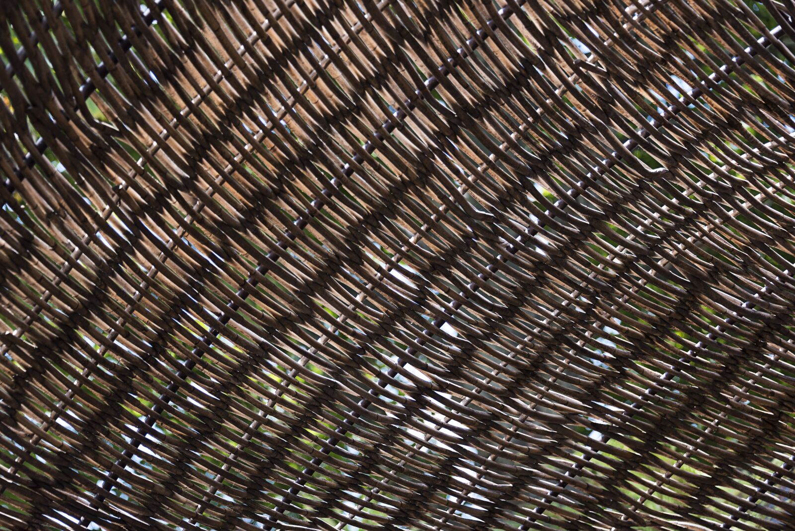 Nikon D750 sample photo. Patterns, organic, texture photography