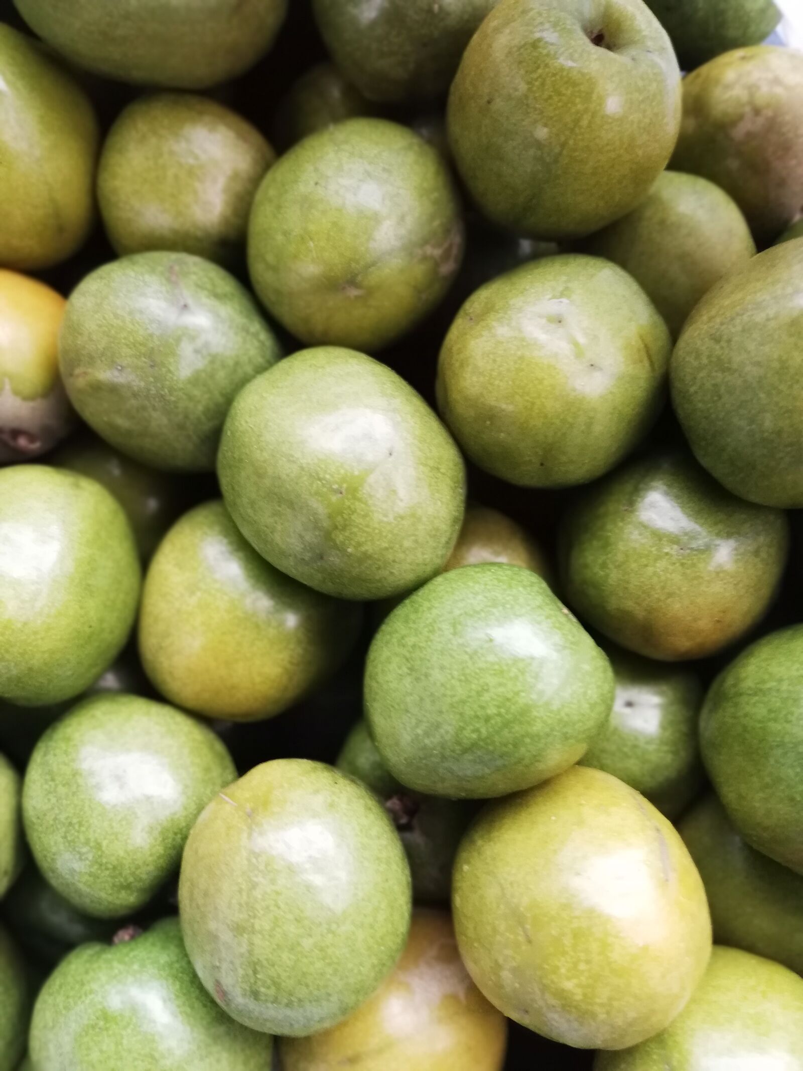 HUAWEI P20 lite sample photo. Plum, fruit, green photography
