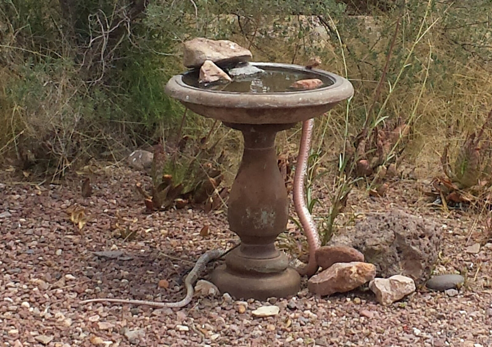 Samsung Galaxy S4 sample photo