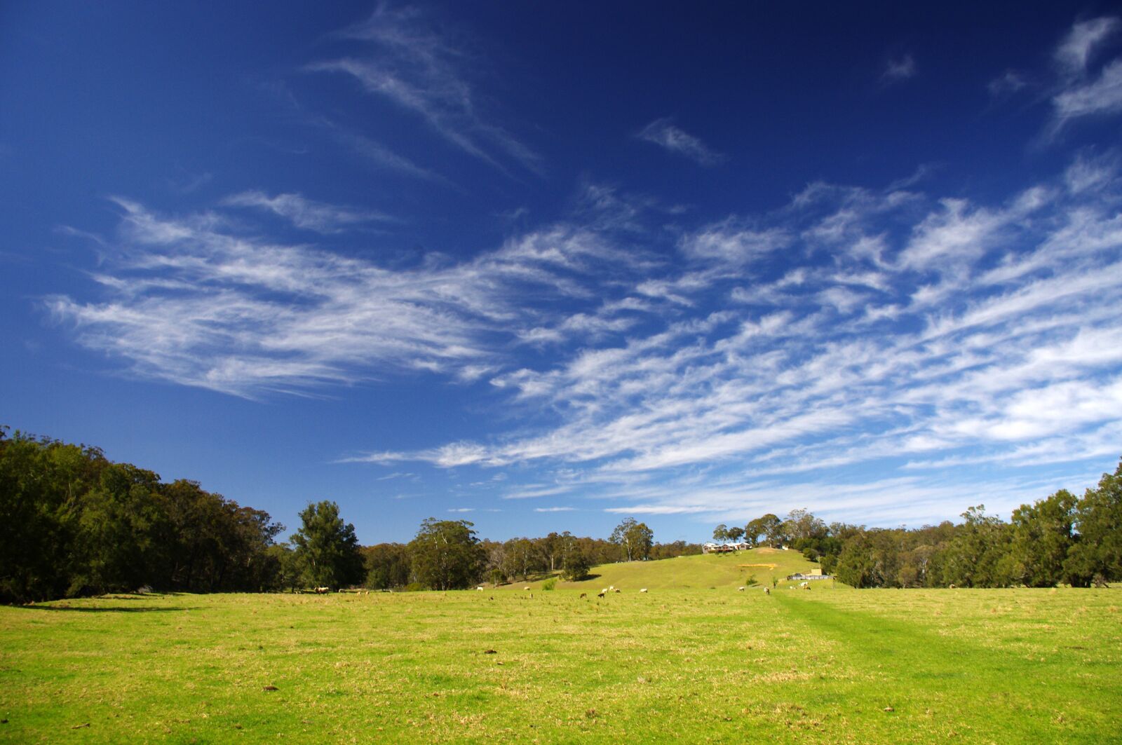 Pentax K-x sample photo. Blue sky, clouds, nature photography