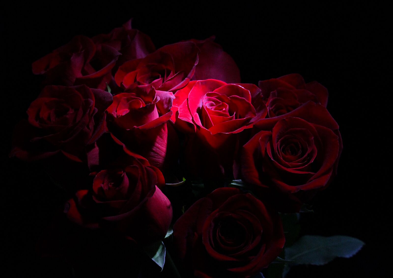 Canon EF-S 55-250mm F4-5.6 IS STM sample photo. Roses, bouquet, flowers photography