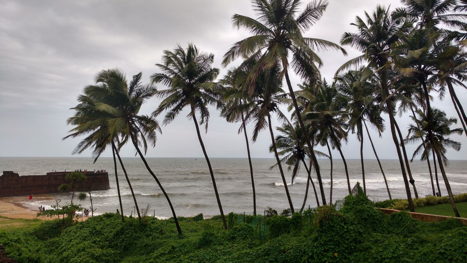 Motorola Moto X Play sample photo. Beach, beach, landscape, coconut photography