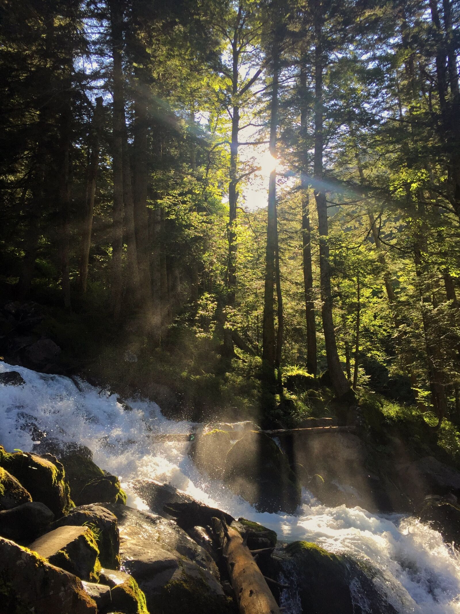 Apple iPhone 6 sample photo. Sunlight, river, po photography