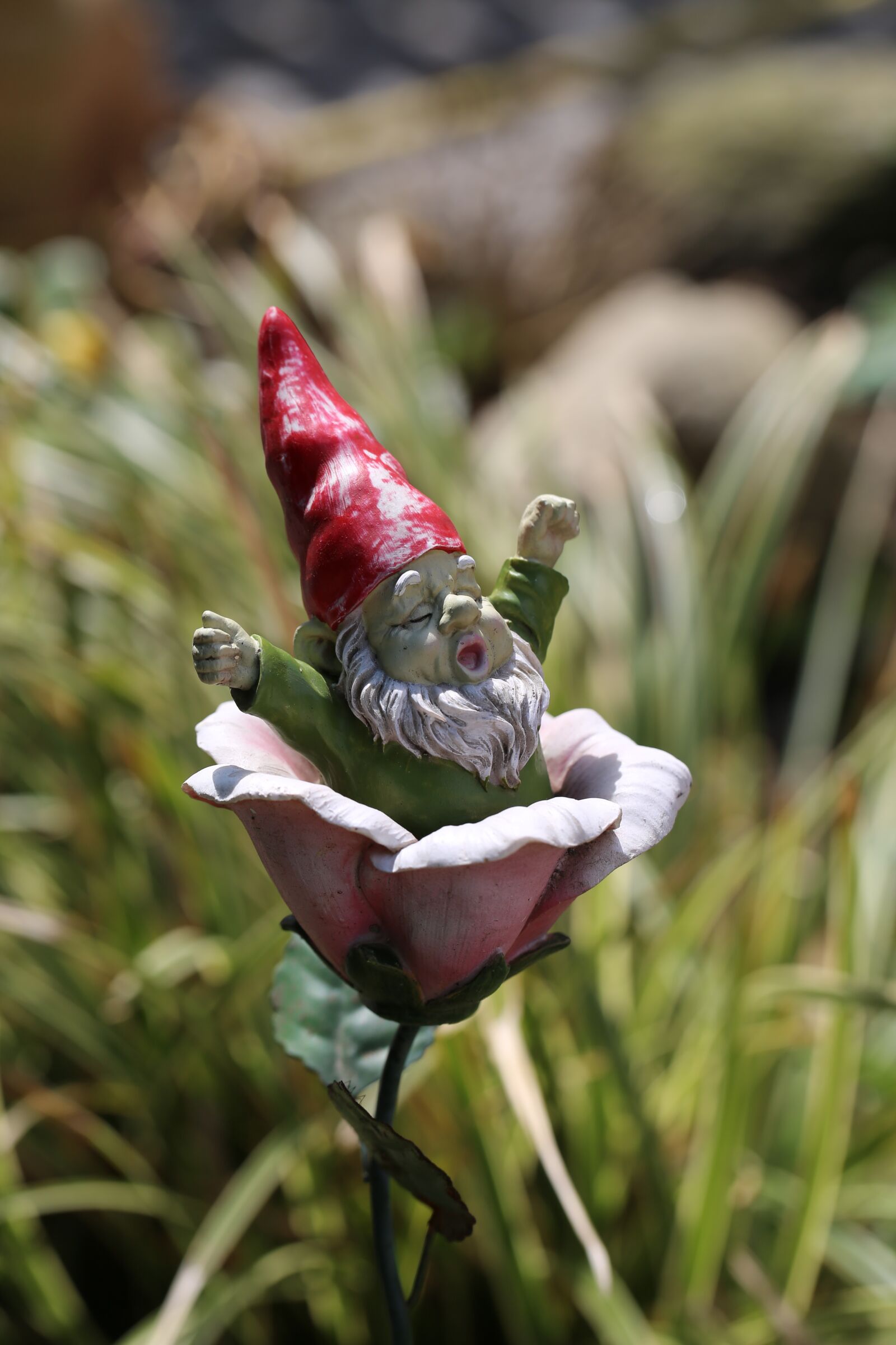 Canon EF 100mm F2.8L Macro IS USM sample photo. Figure, dwarf, imp photography