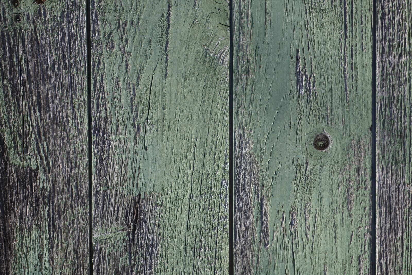 Sony Cyber-shot DSC-RX100 II sample photo. Wood, door, texture photography
