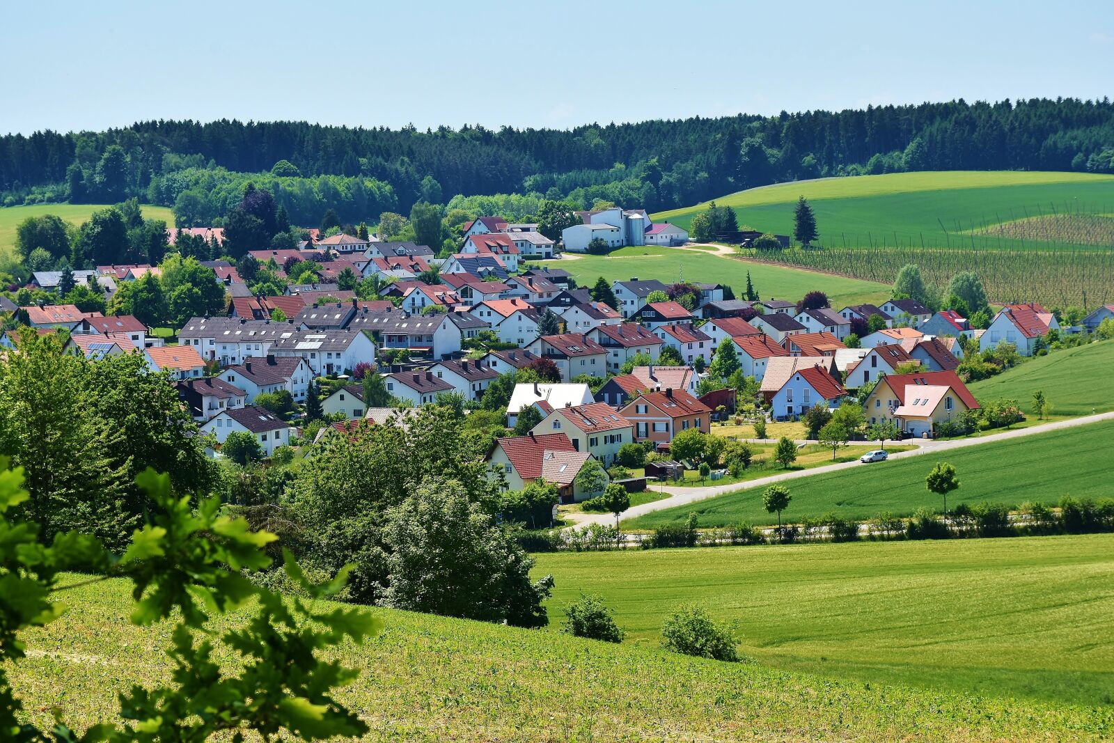 Nikon D7200 sample photo. Landscape, environment, nature photography