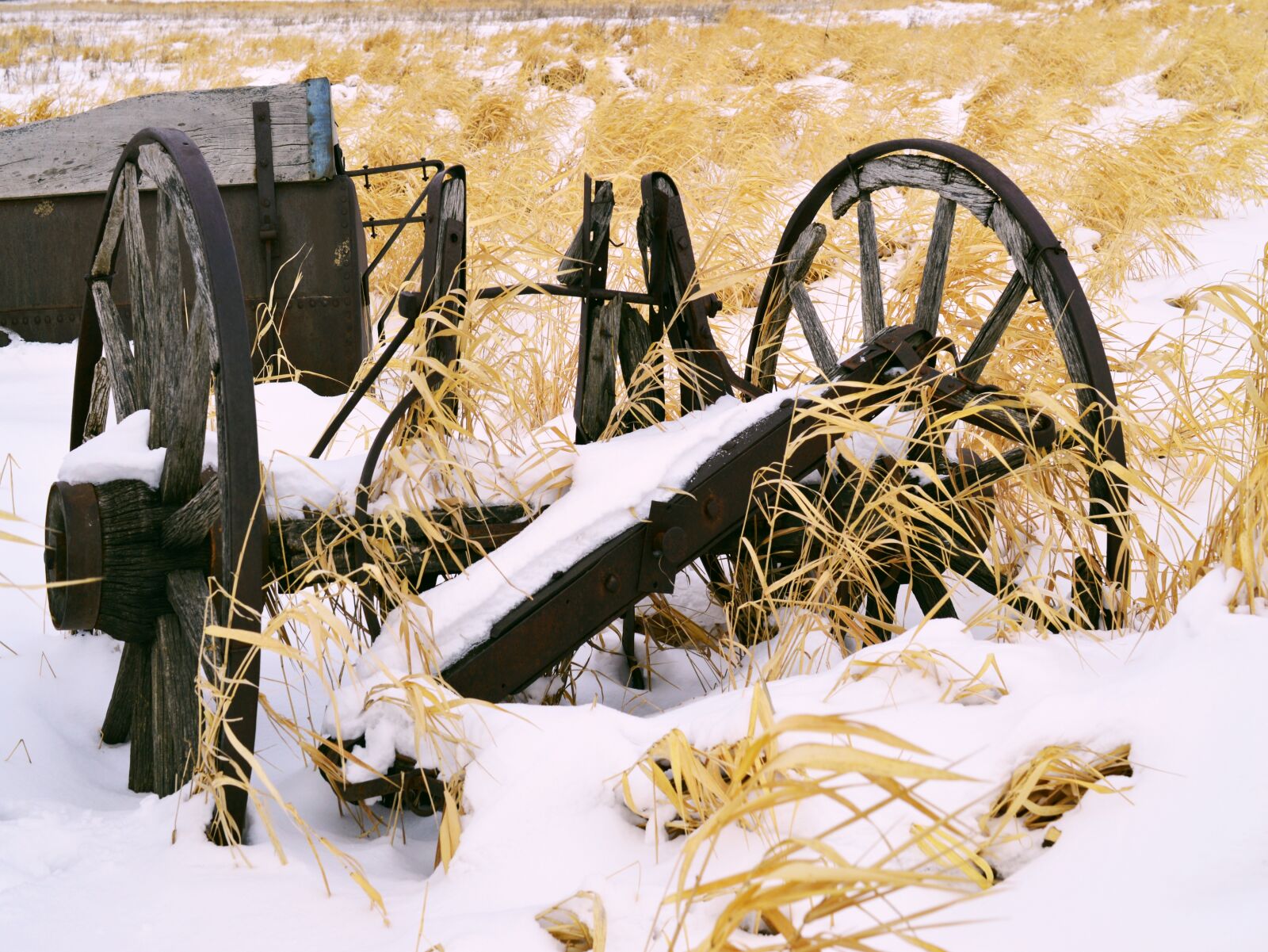 Nikon AF-S DX Micro Nikkor 40mm F2.8 sample photo. Wheel, old, farm equipment photography