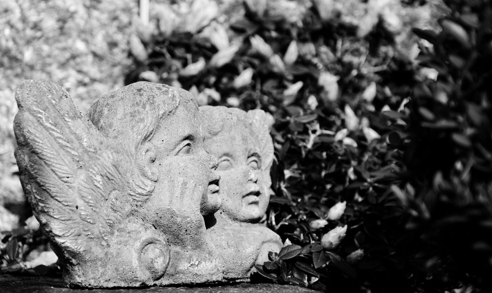 Nikon D5200 sample photo. Angel, sculpture, cemetery photography