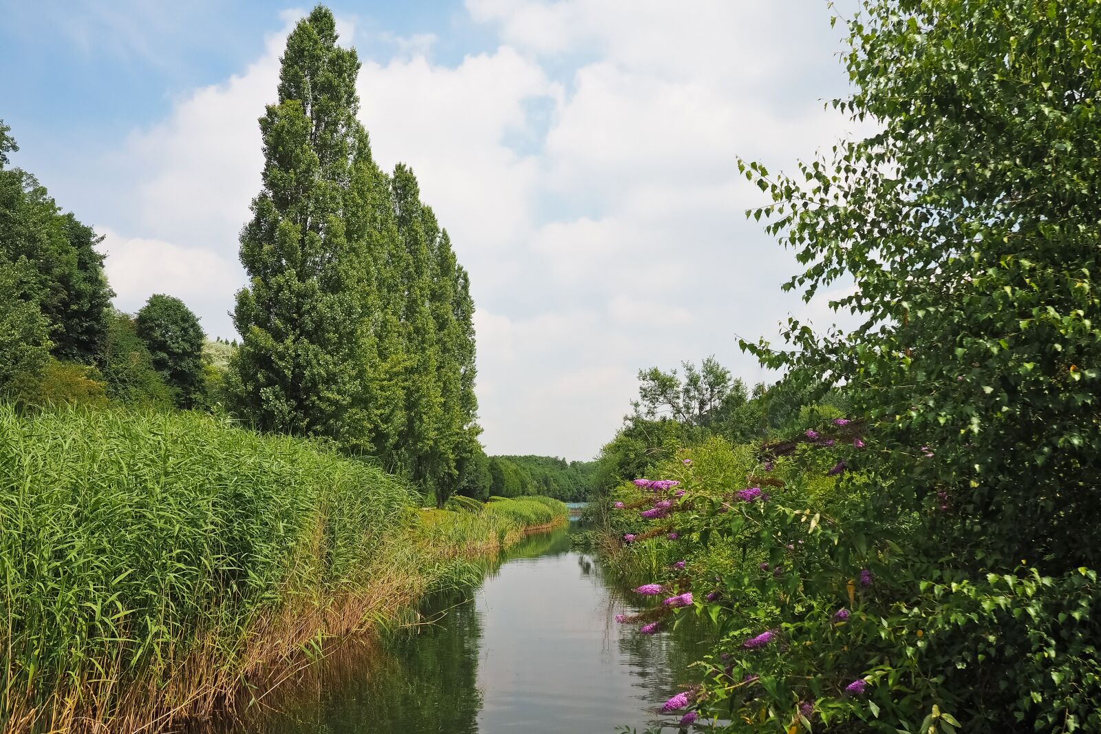 Olympus OM-D E-M10 sample photo. Landscape, bach, nature photography