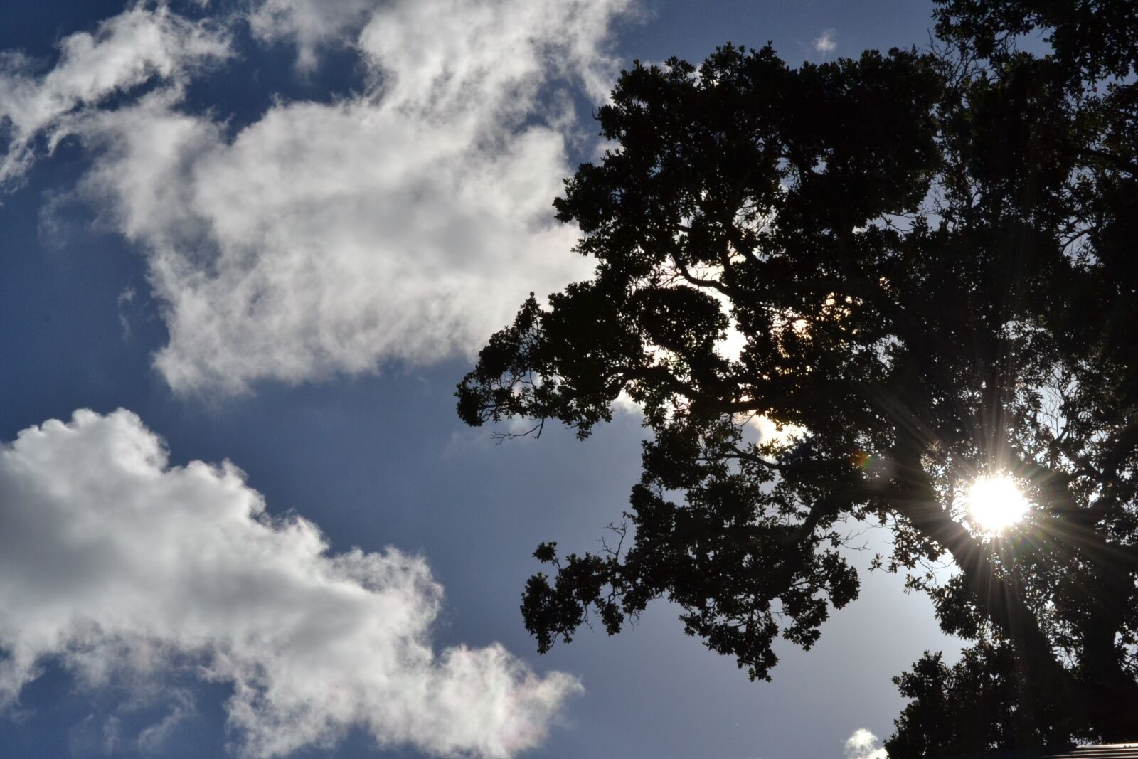 Nikon D3100 sample photo. Sky, nature, sun photography