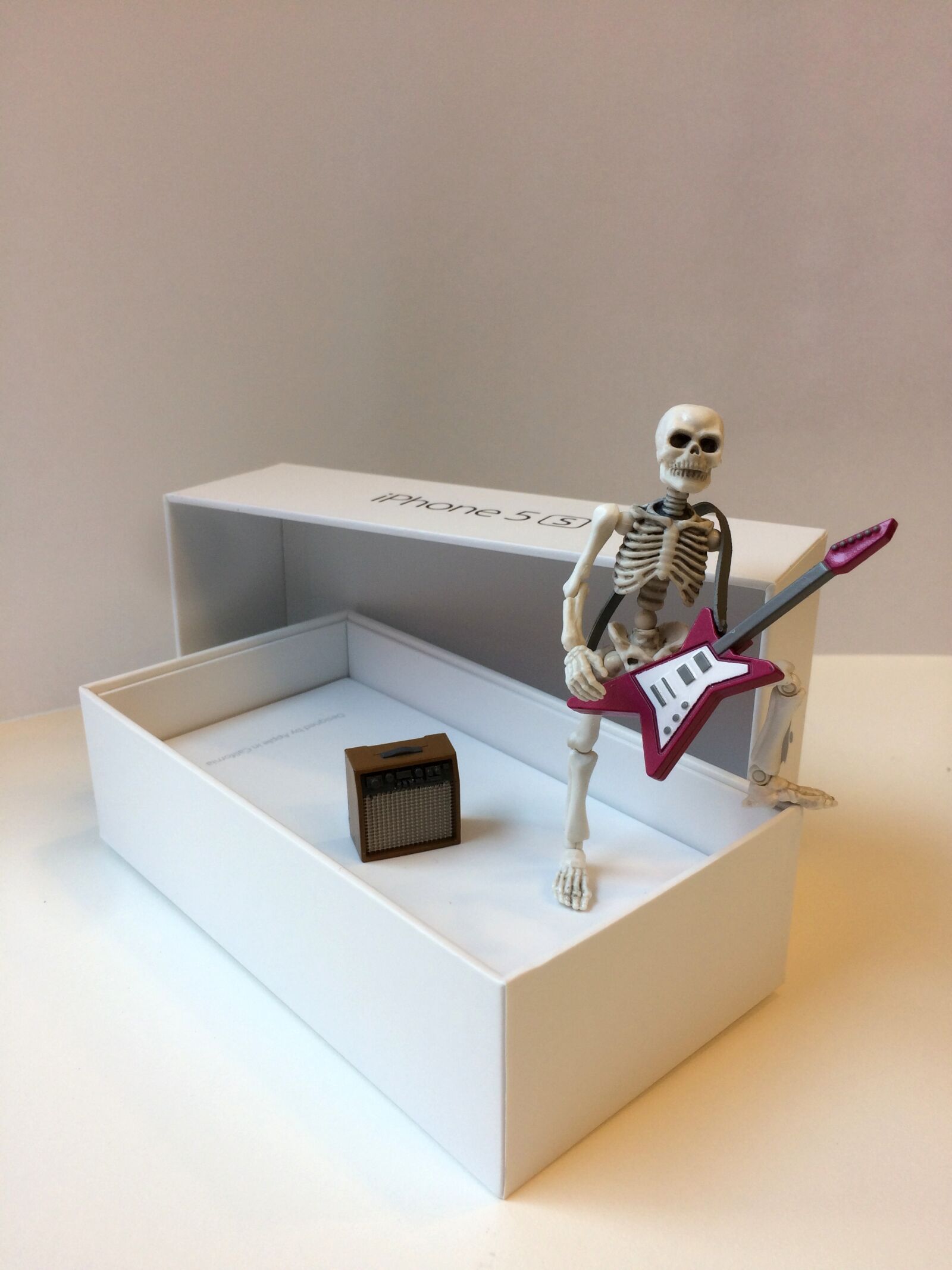 Apple iPhone 5s sample photo. Skeleton, box, unpacking photography