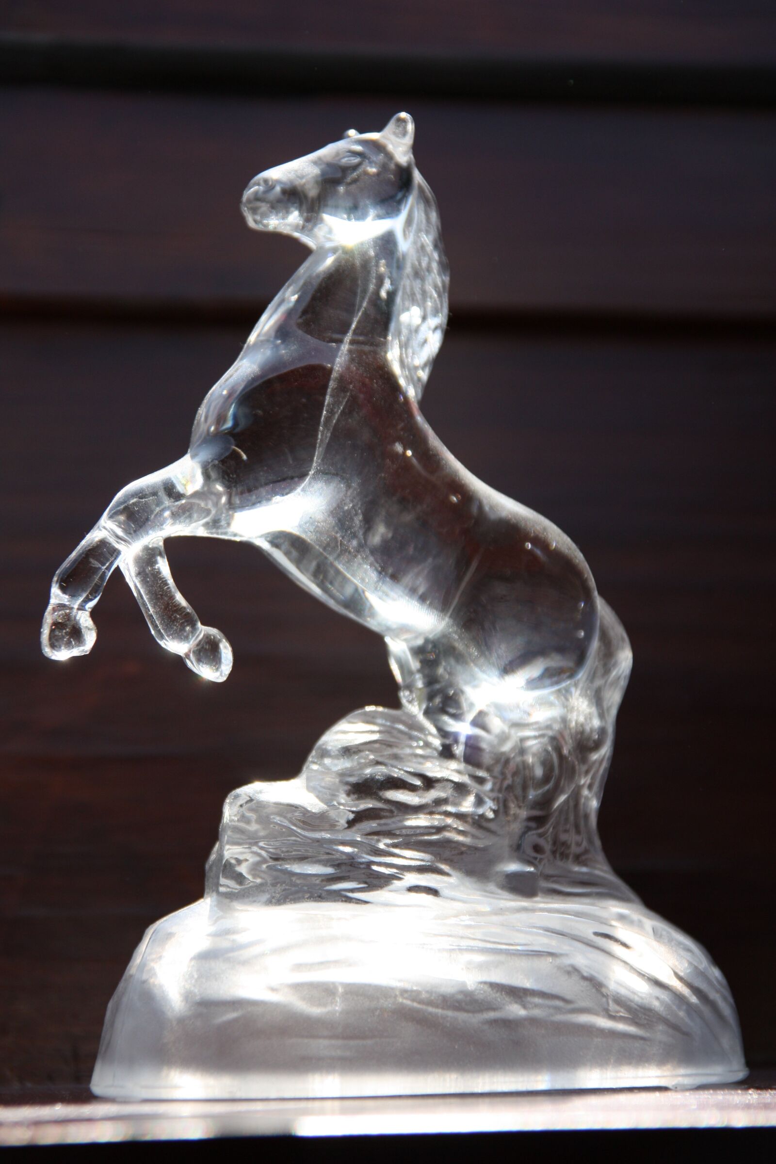 Canon EOS 450D (EOS Rebel XSi / EOS Kiss X2) sample photo. Horse, figure, glass photography