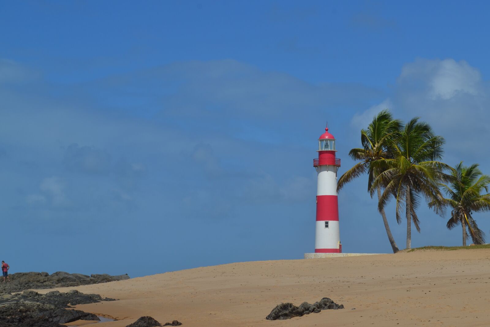 Nikon D3100 sample photo. Lighthouse, beach, coconut trees photography