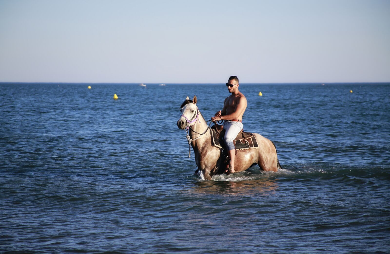Canon EOS 5D Mark III sample photo. Sea ​​horse, bathing, jumper photography