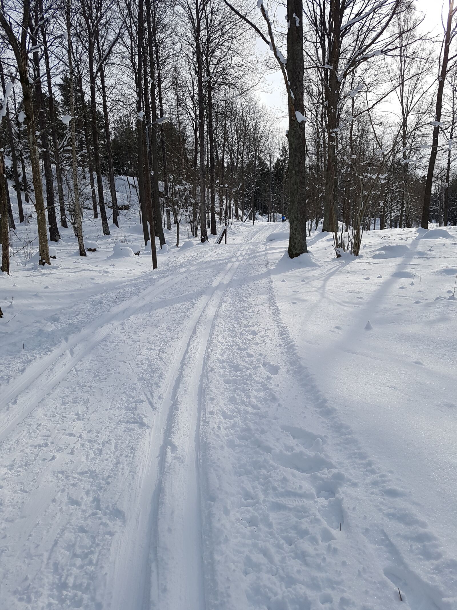 Samsung Galaxy S7 sample photo. Winter, snow, cold photography