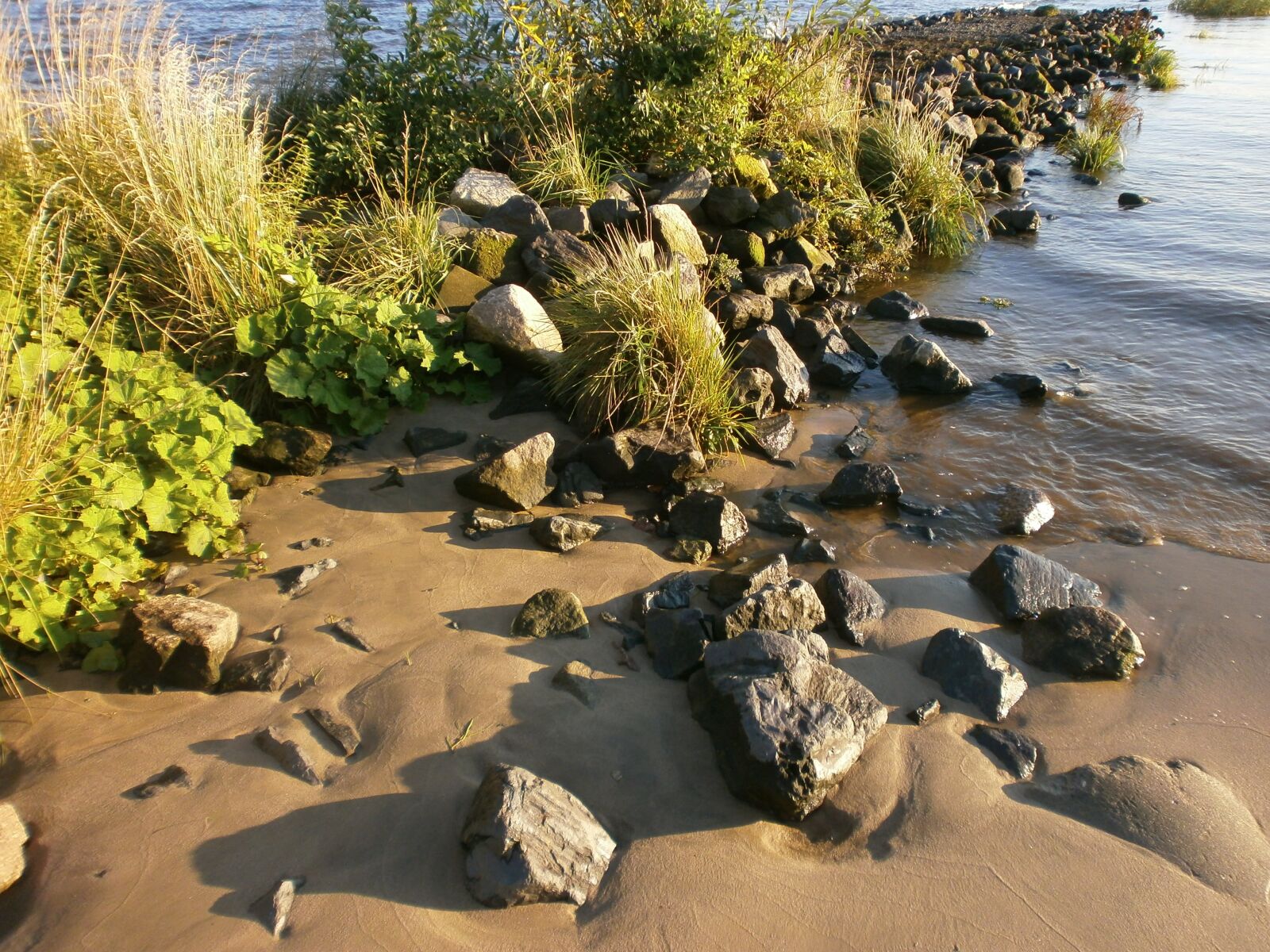 Olympus VG110,D700 sample photo. River, hamburg, water photography