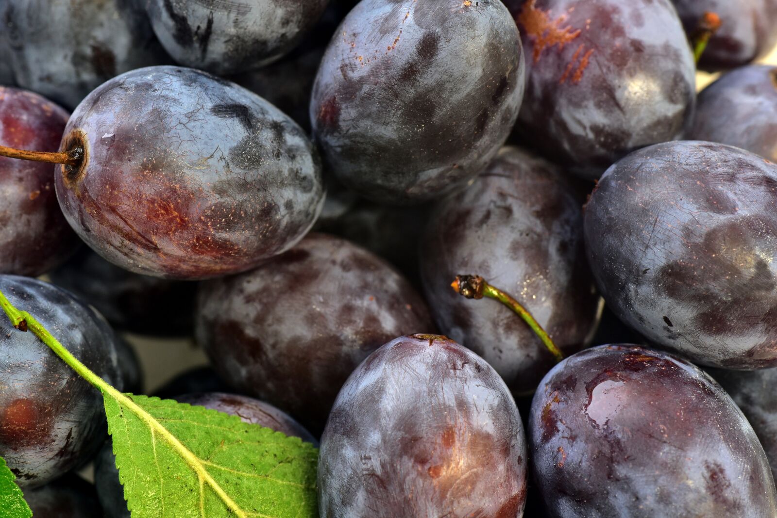 Nikon D750 sample photo. Plums, background, fruit photography
