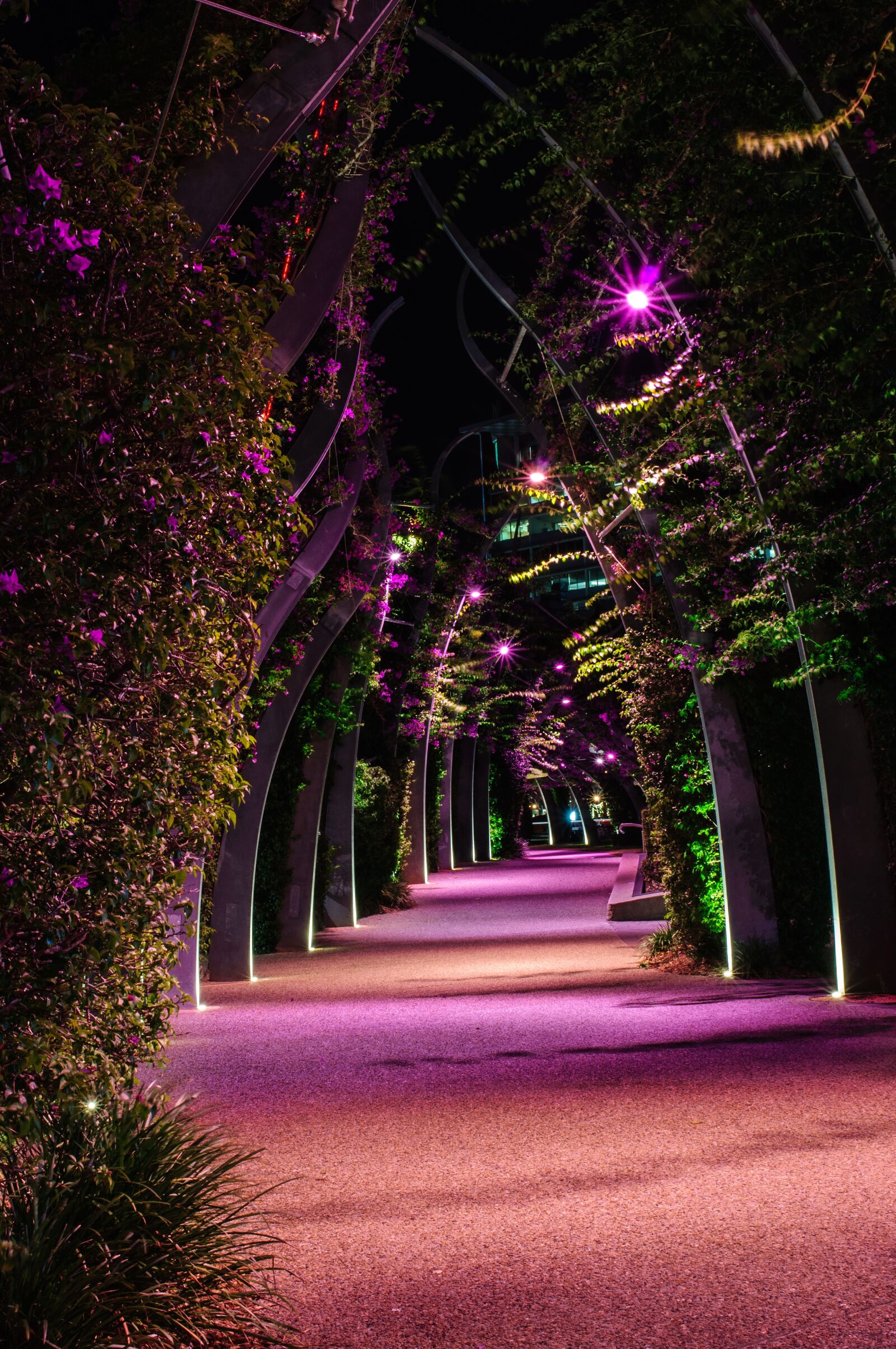 Nikon D90 sample photo. Southbank, parkland, brisbane photography