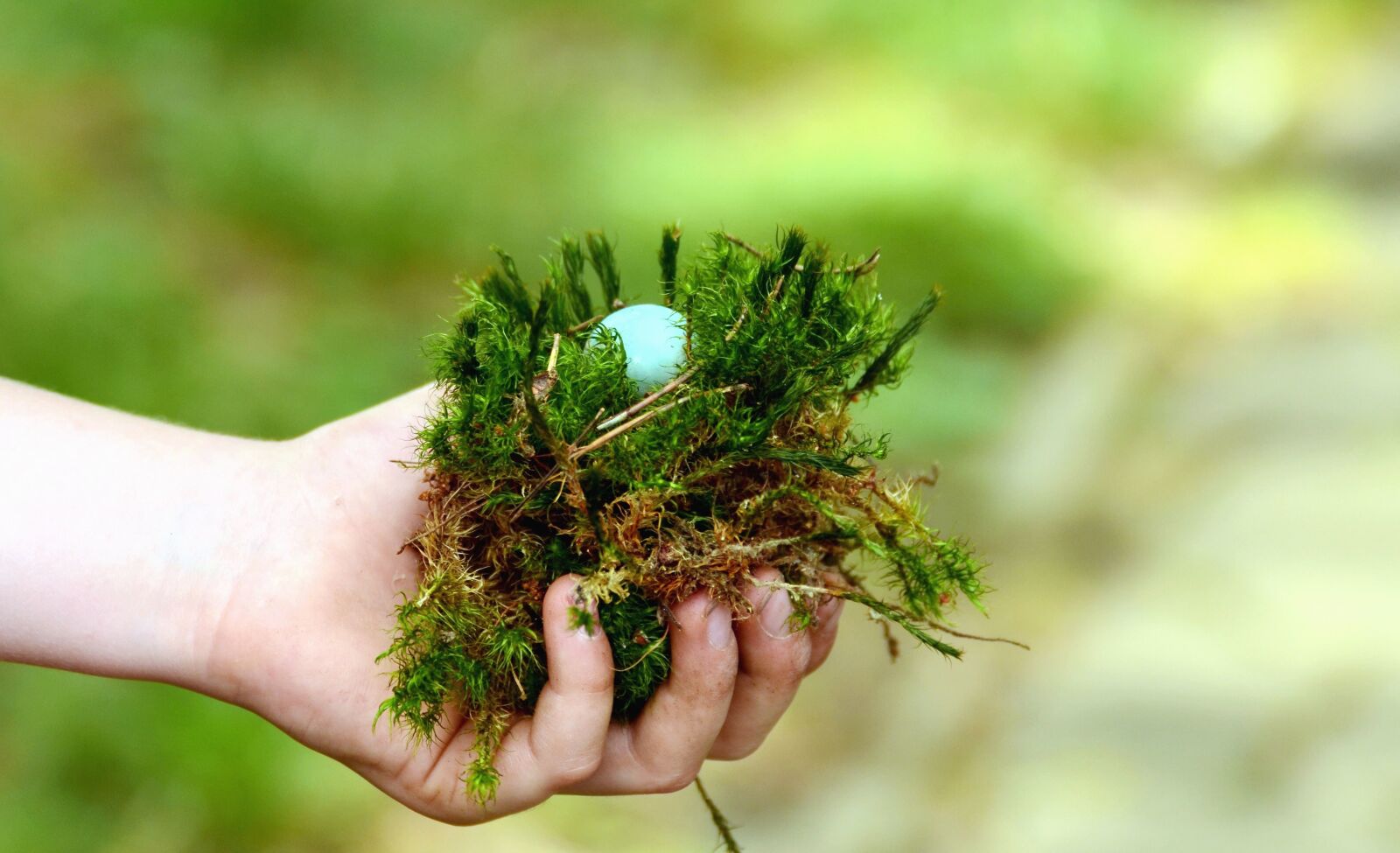 Nikon D5100 sample photo. Moss, hand, sod, plant photography